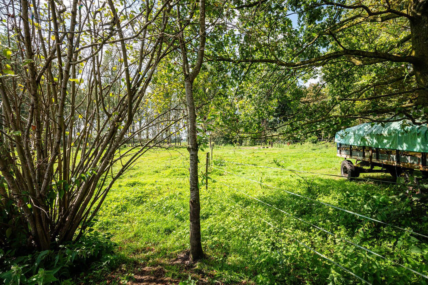 Verrassend ruime woning met prachtig zuidgerichte tuin in het Mandeweegsken! foto 16