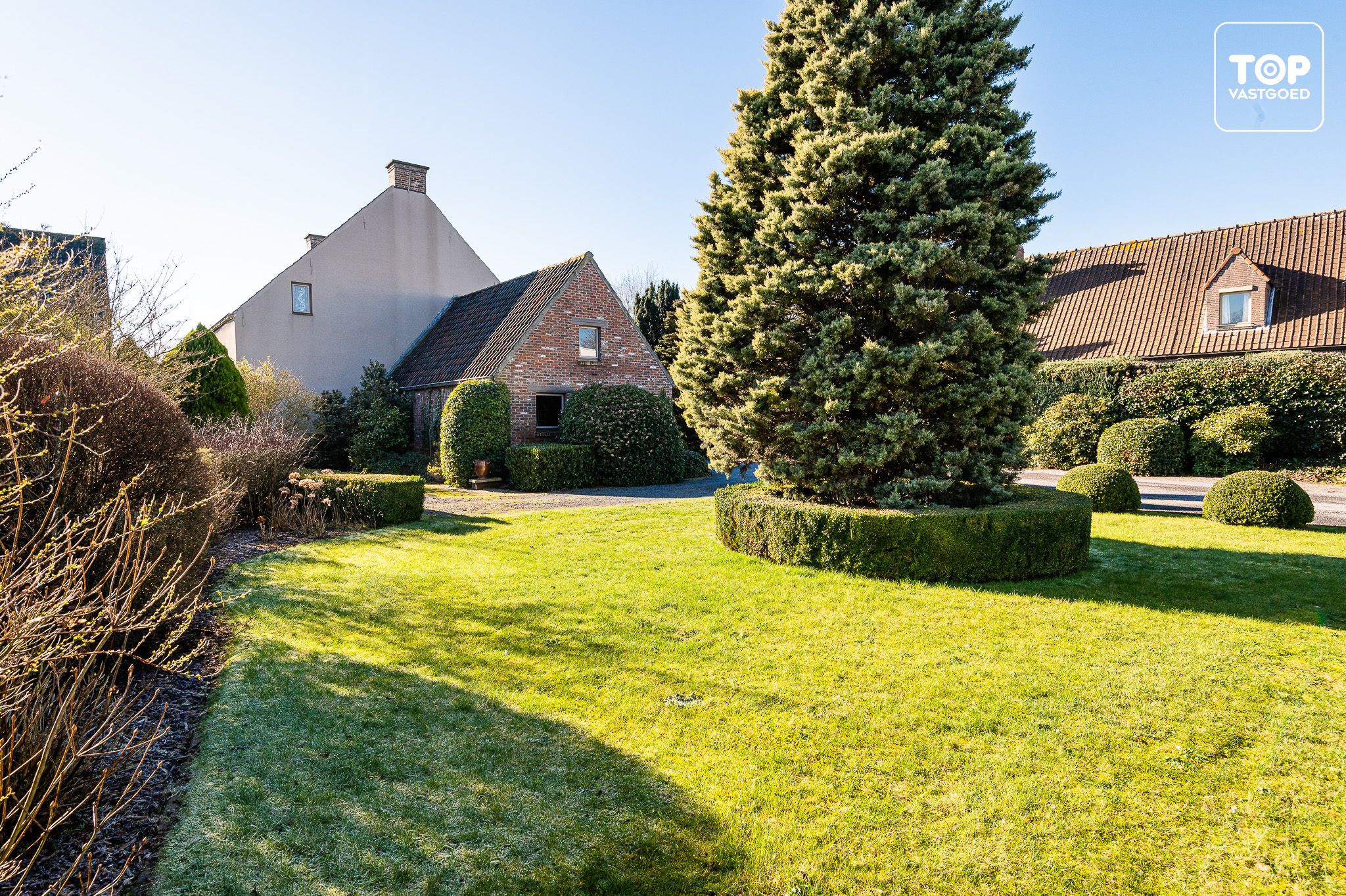 Prachtige te renoveren hoeve met voormalige olieslagerij en stokerij foto 2