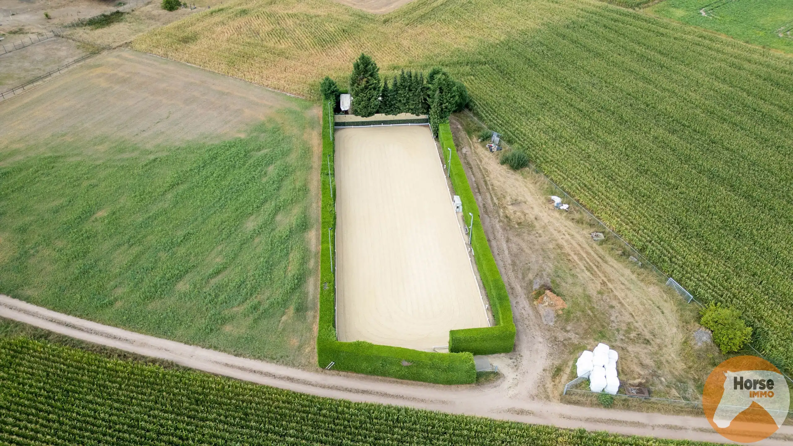 NEEROETEREN-Woning met accommodatie voor (semi)professioneel foto 4