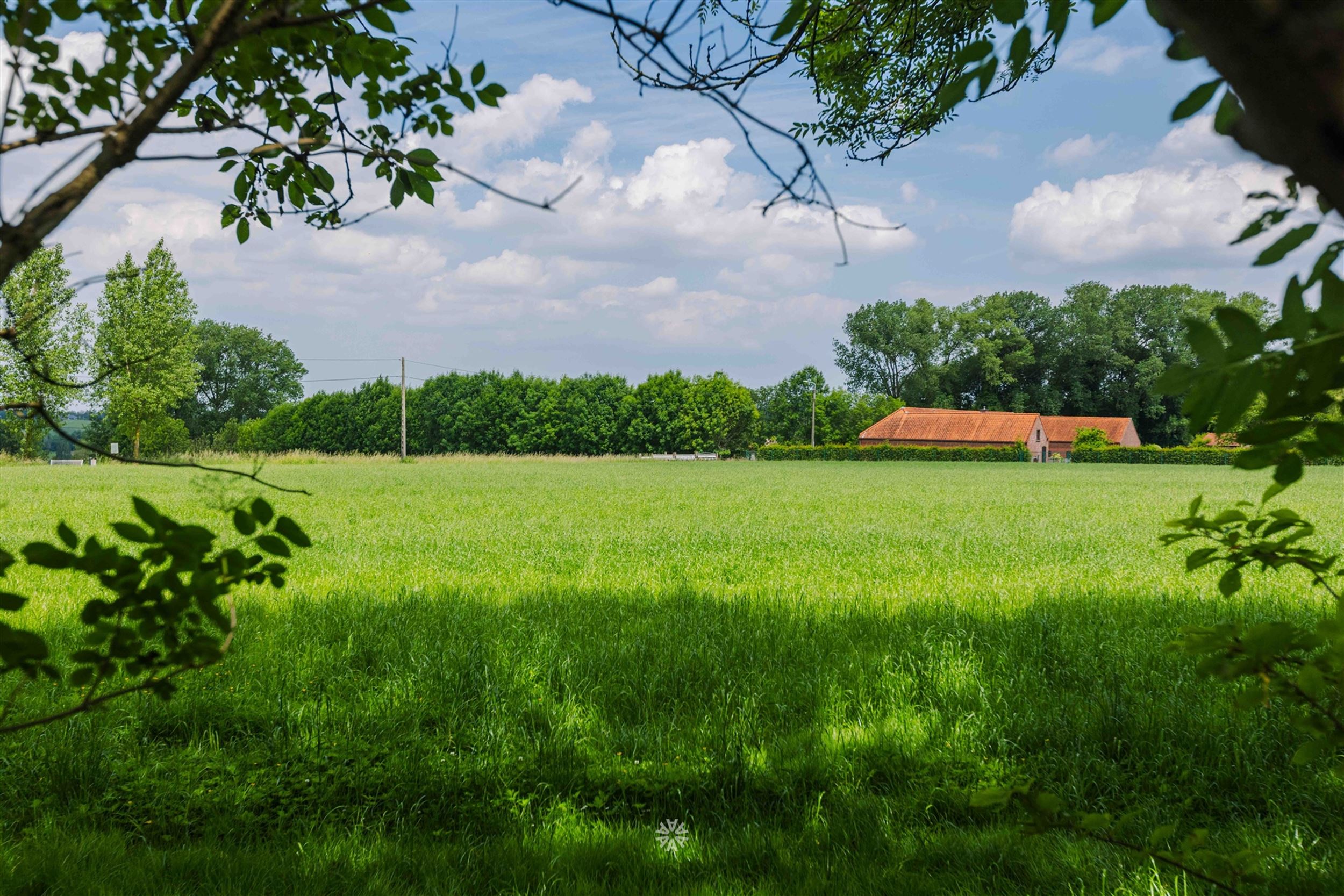 uniek gelegen vierkantshoeve in Schorisse foto 29