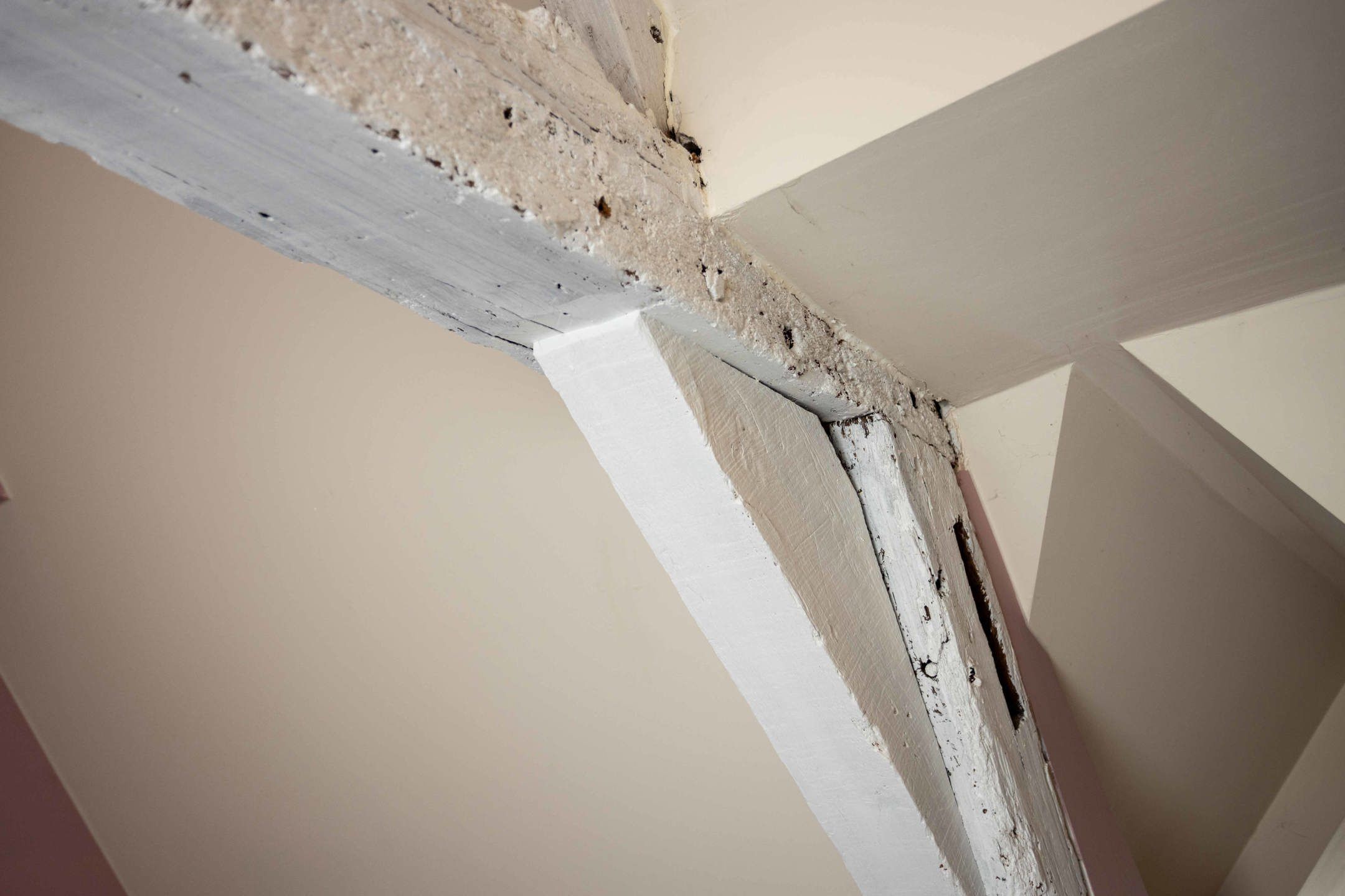 Energiezuinige, karaktervolle woning met 3slpks en stadstuin foto 15