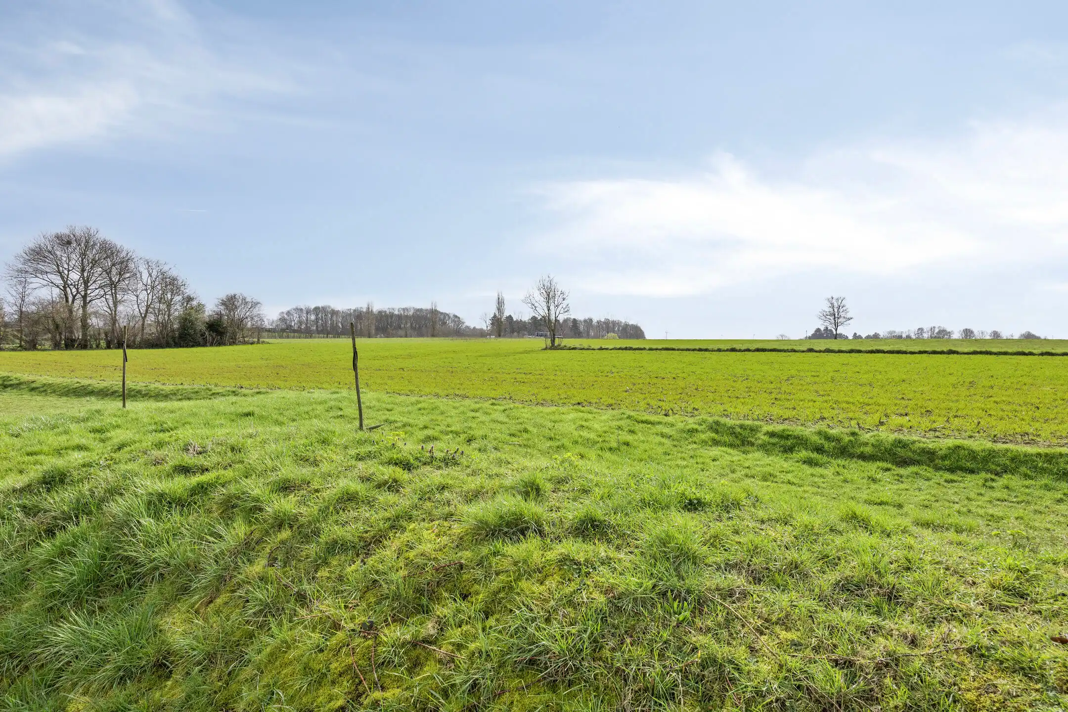 Ruime woonst met praktijkruimte op een perceel van 24 are foto 27