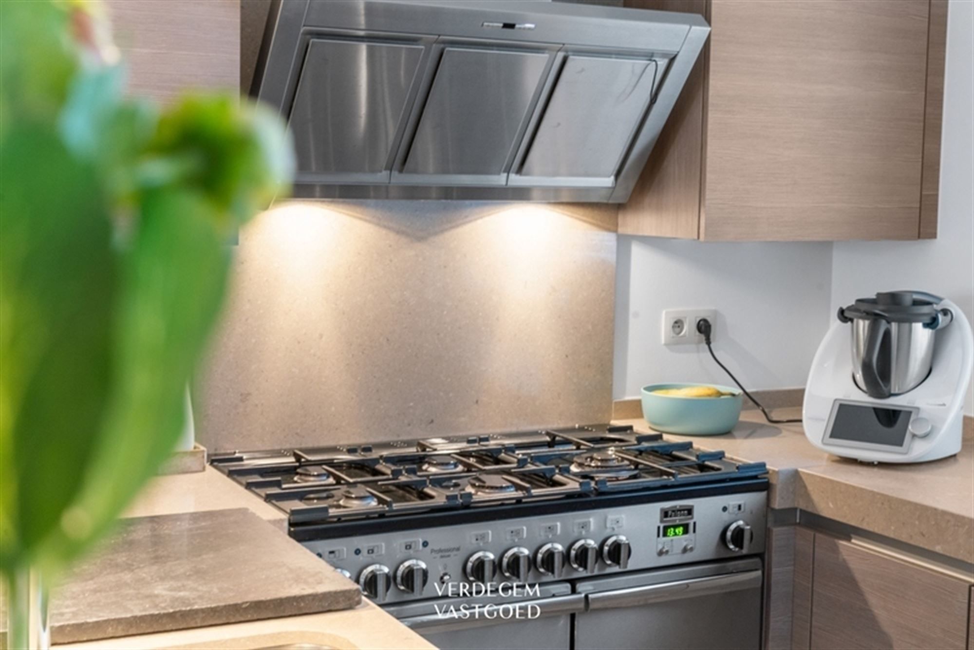 Instapklaar en knap afgewerkte woning met 2 garages, geniettuin en atelier/praktijk foto 9