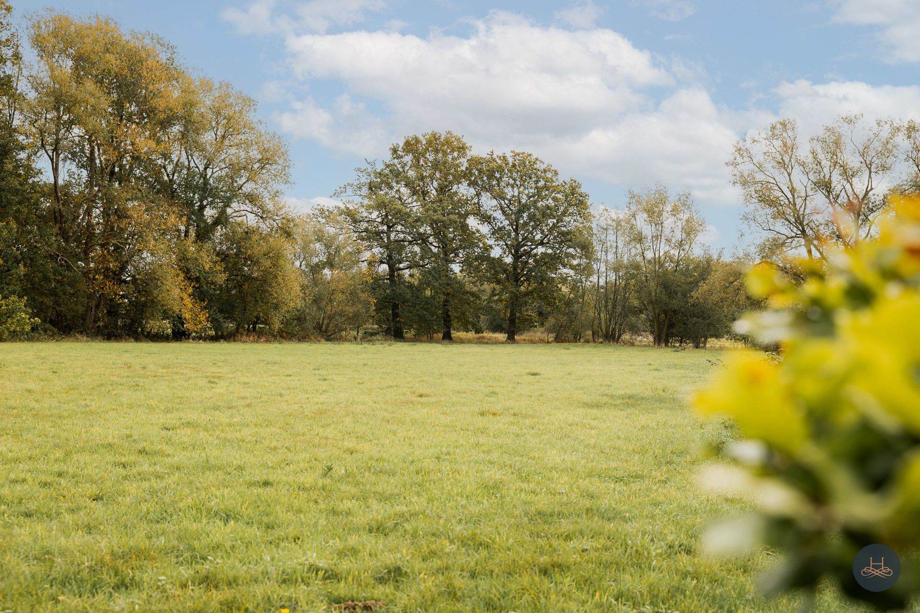 Groen, rustig gelegen woning op 1.71 ha tussen de weilanden foto 5