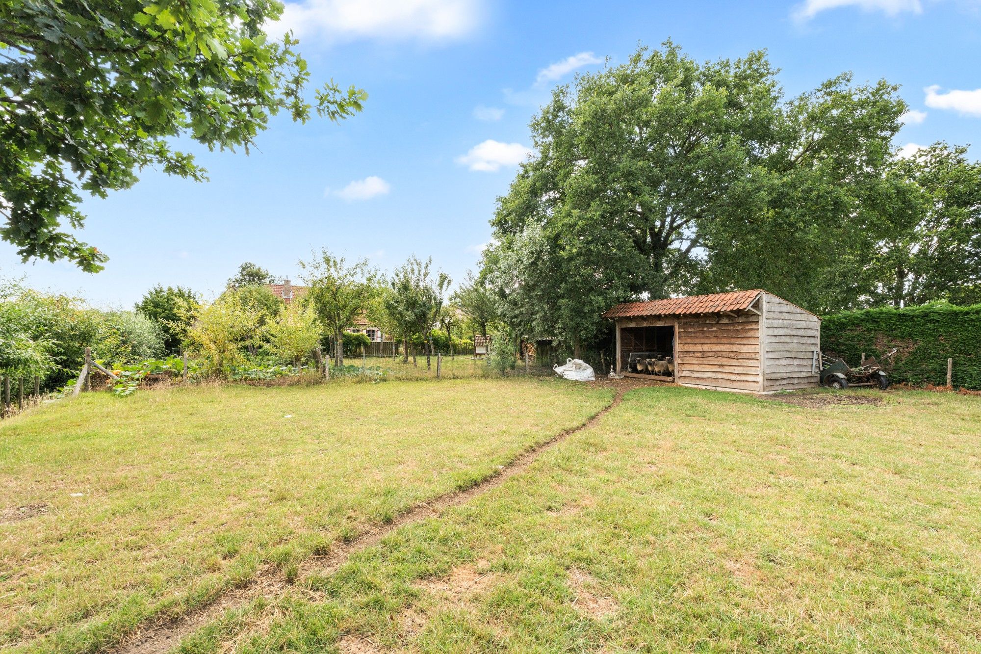 Charmante hoeve met paardenstallingen en schuur op 11.908 m² vlakbij het Drongengoed foto 42