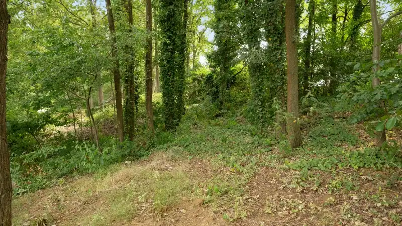 Exclusieve energiezuinige recente villa van 305m² op 14a65ca foto 30