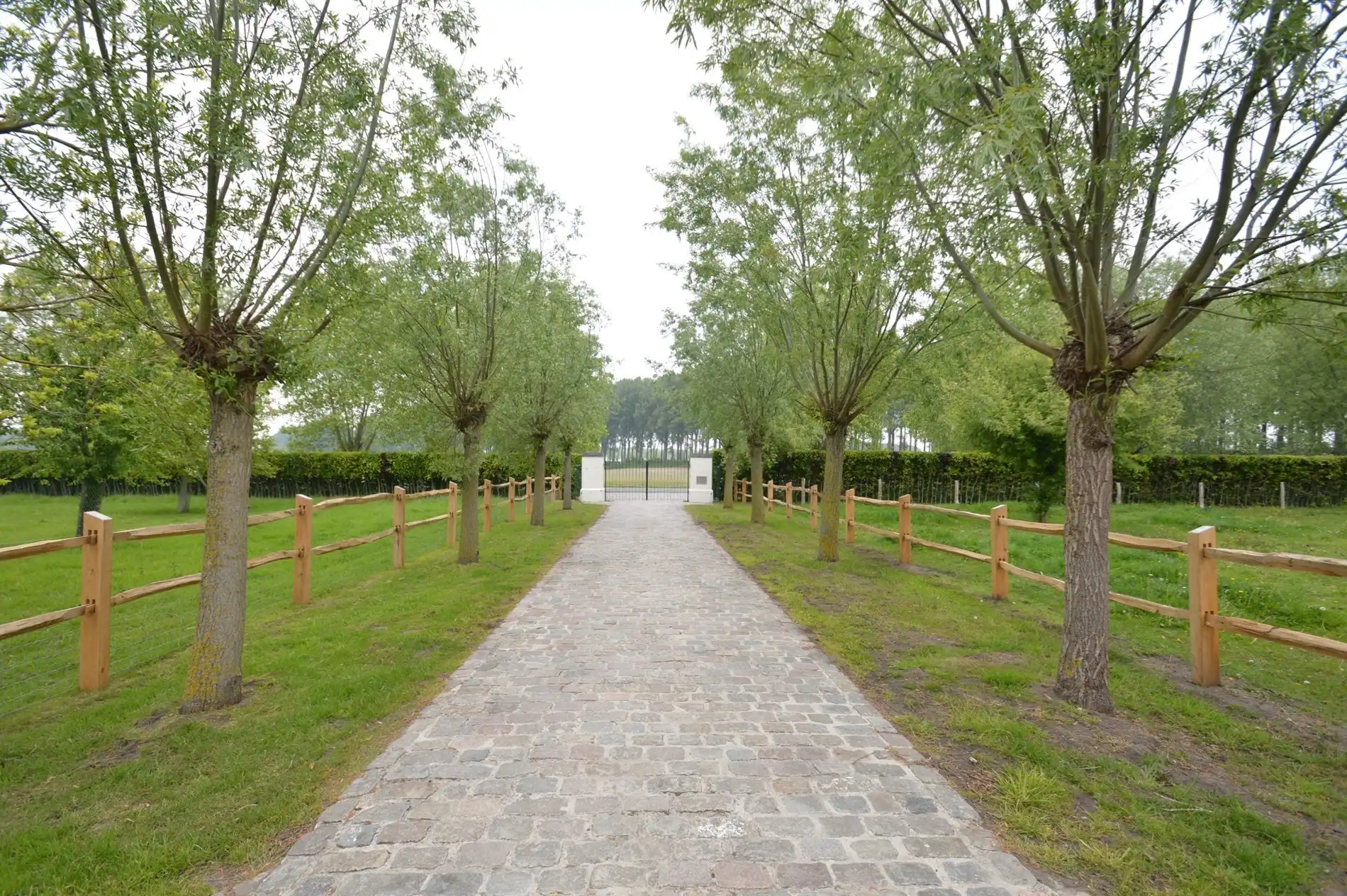 Schitterende hoeve met weilanden - Geen functiewijziging nodig foto 3