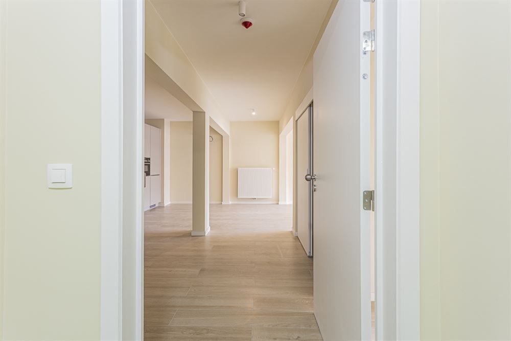 Gerenoveerd 3-slpkr appartement + ruim terras| Antwerpen-Centrum  foto 2