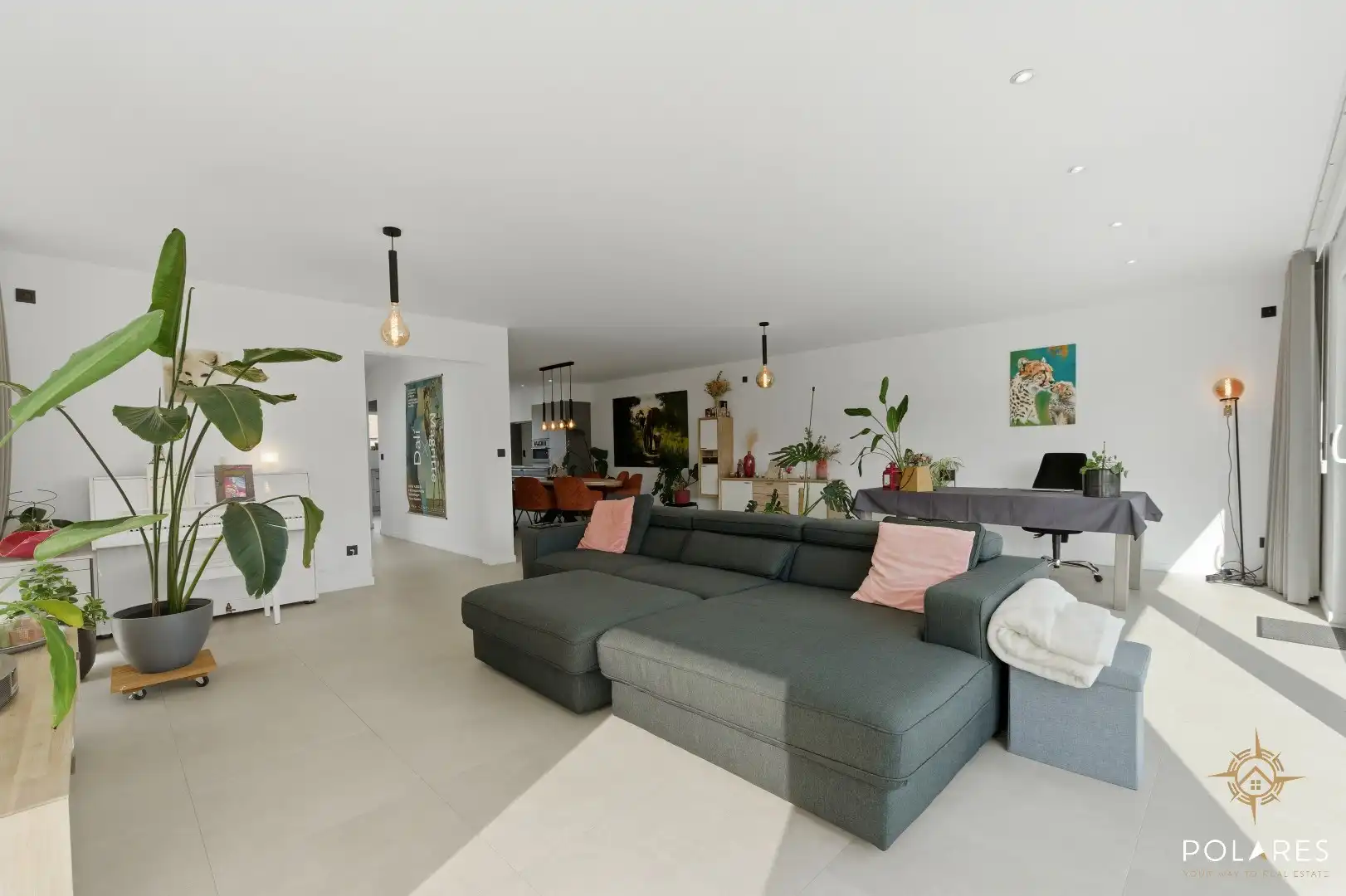 Pure perfectie - verkoop onder registratie  foto 4