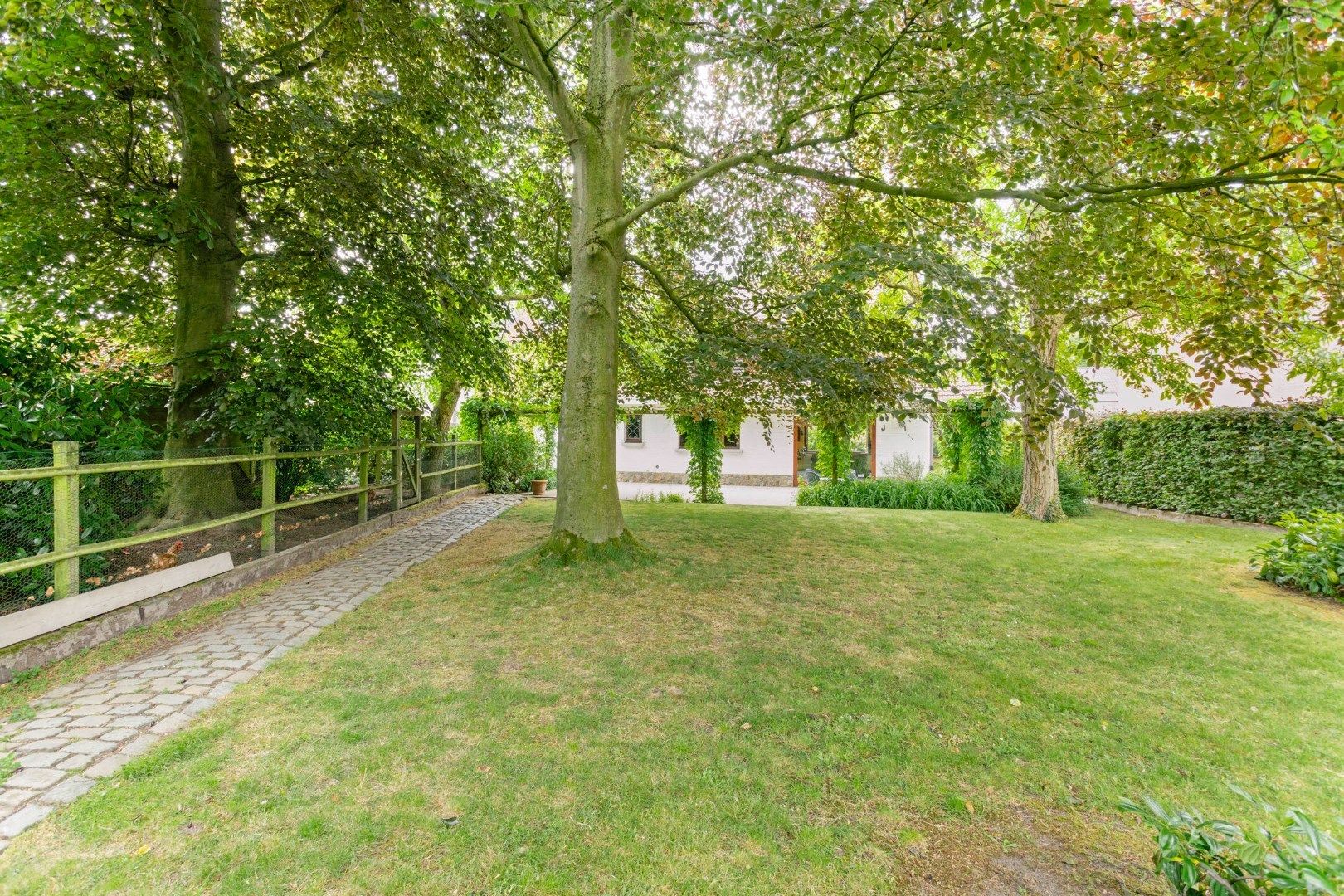 Charmante woning van 256 m2 met 4 slaapkamers te Wommelgem!  foto 24