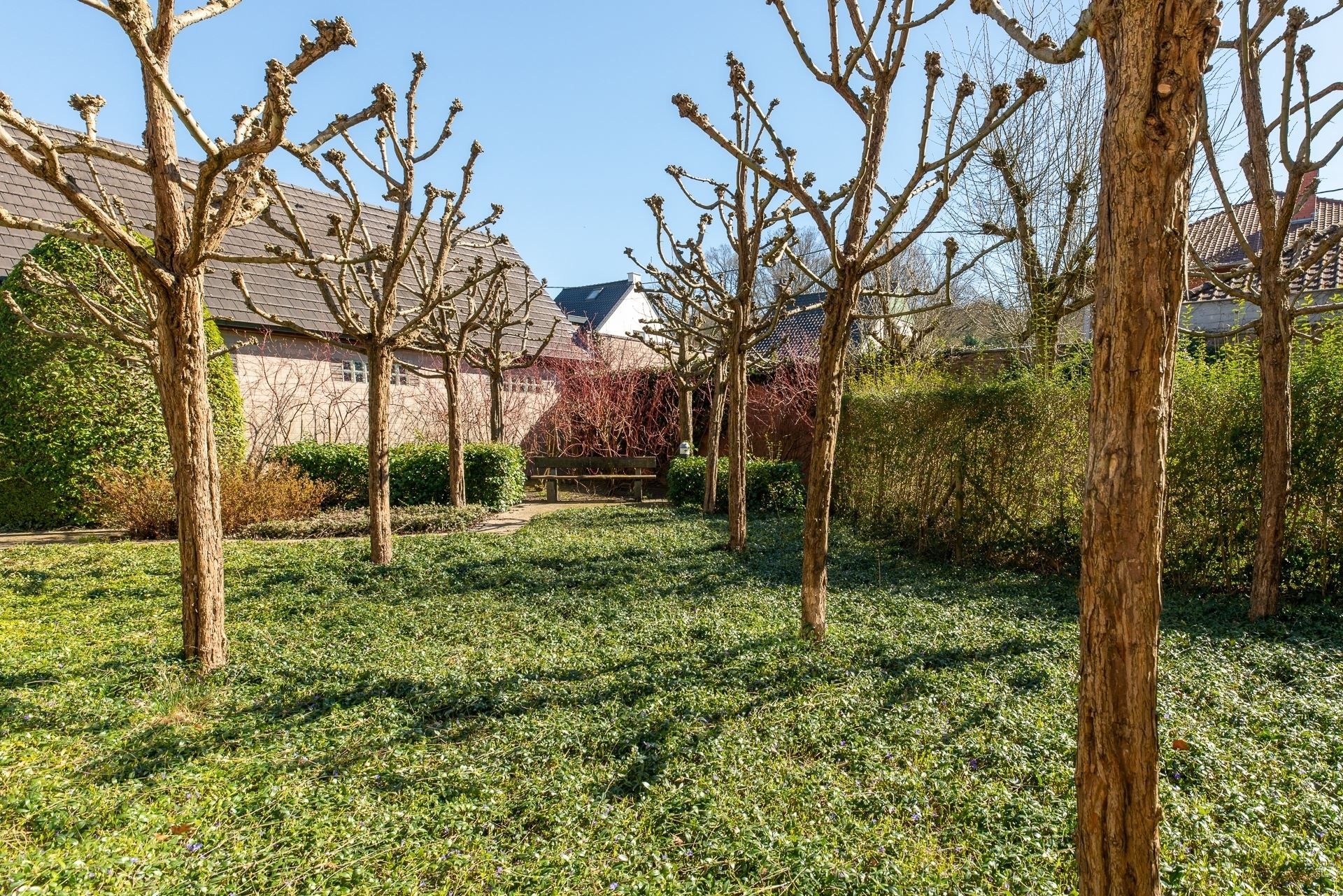 Instapklaar en energiezuinig appartement in groene omgeving! foto 9