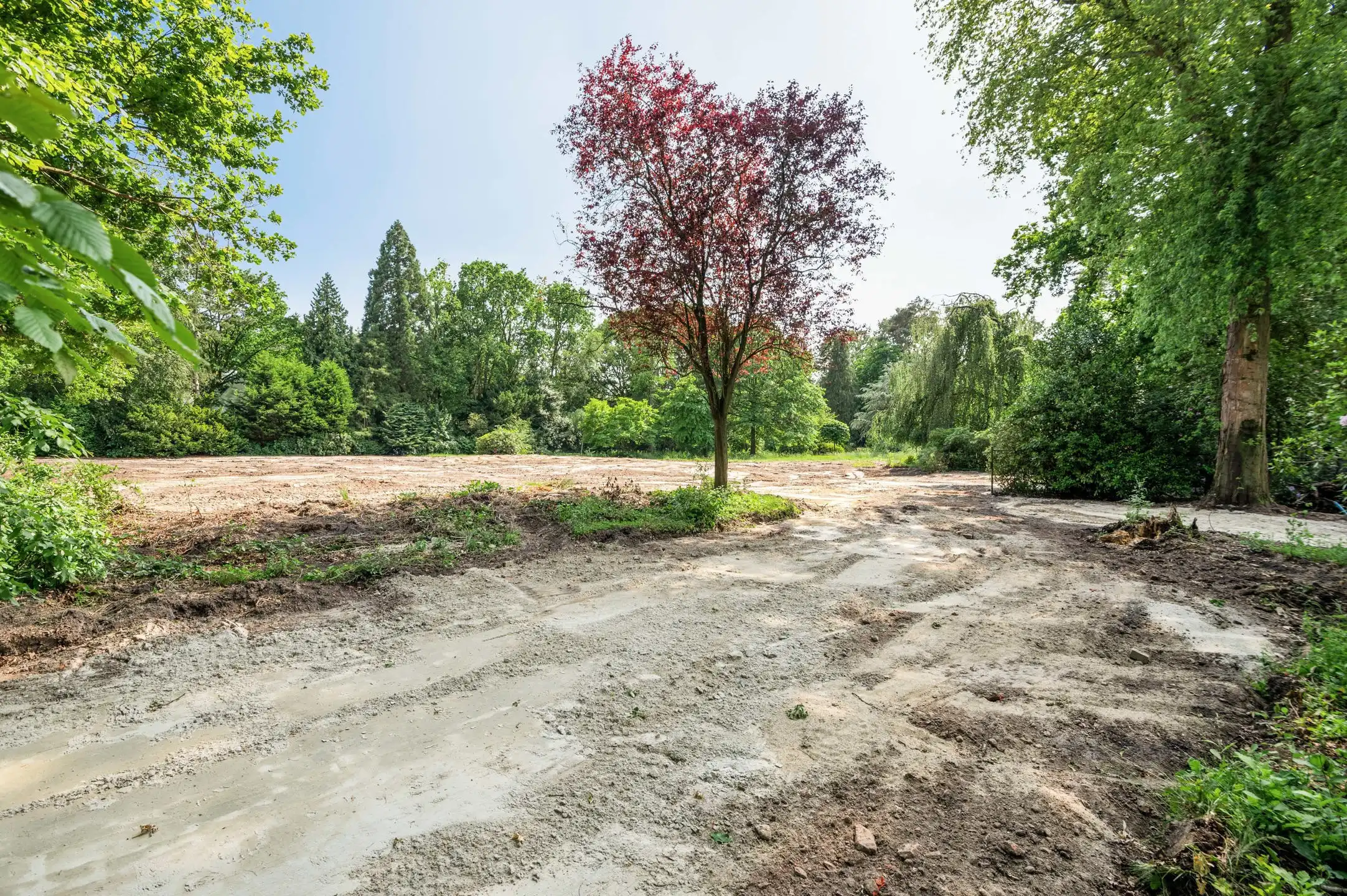 Exclusieve bouwgrond in één van de mooiste lanen van Schilde foto 4