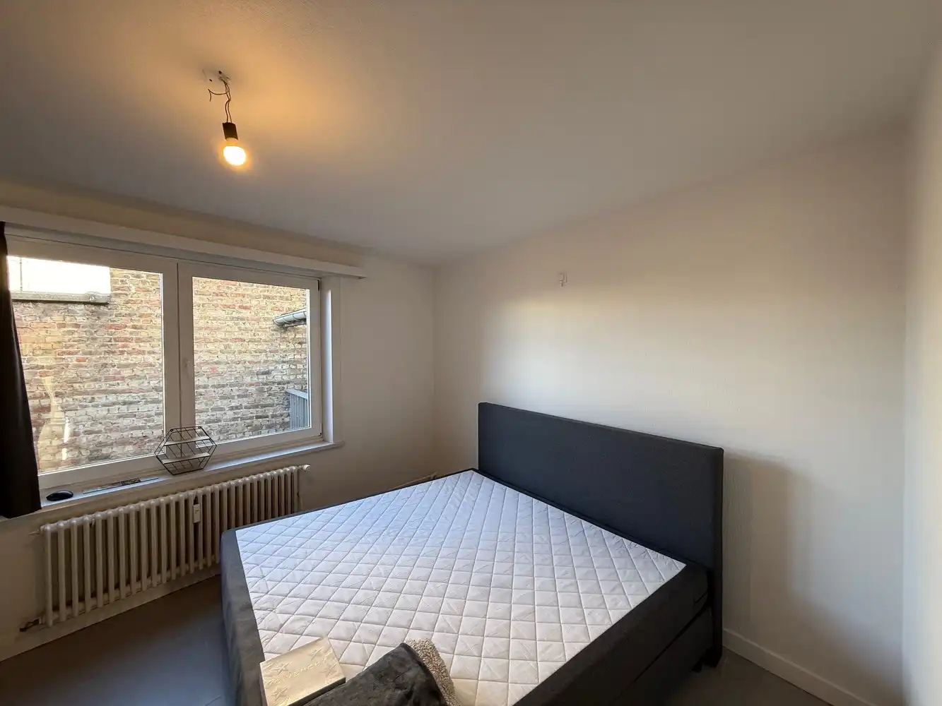 PROFESSOR MAC LEODPLEIN 1 foto 8