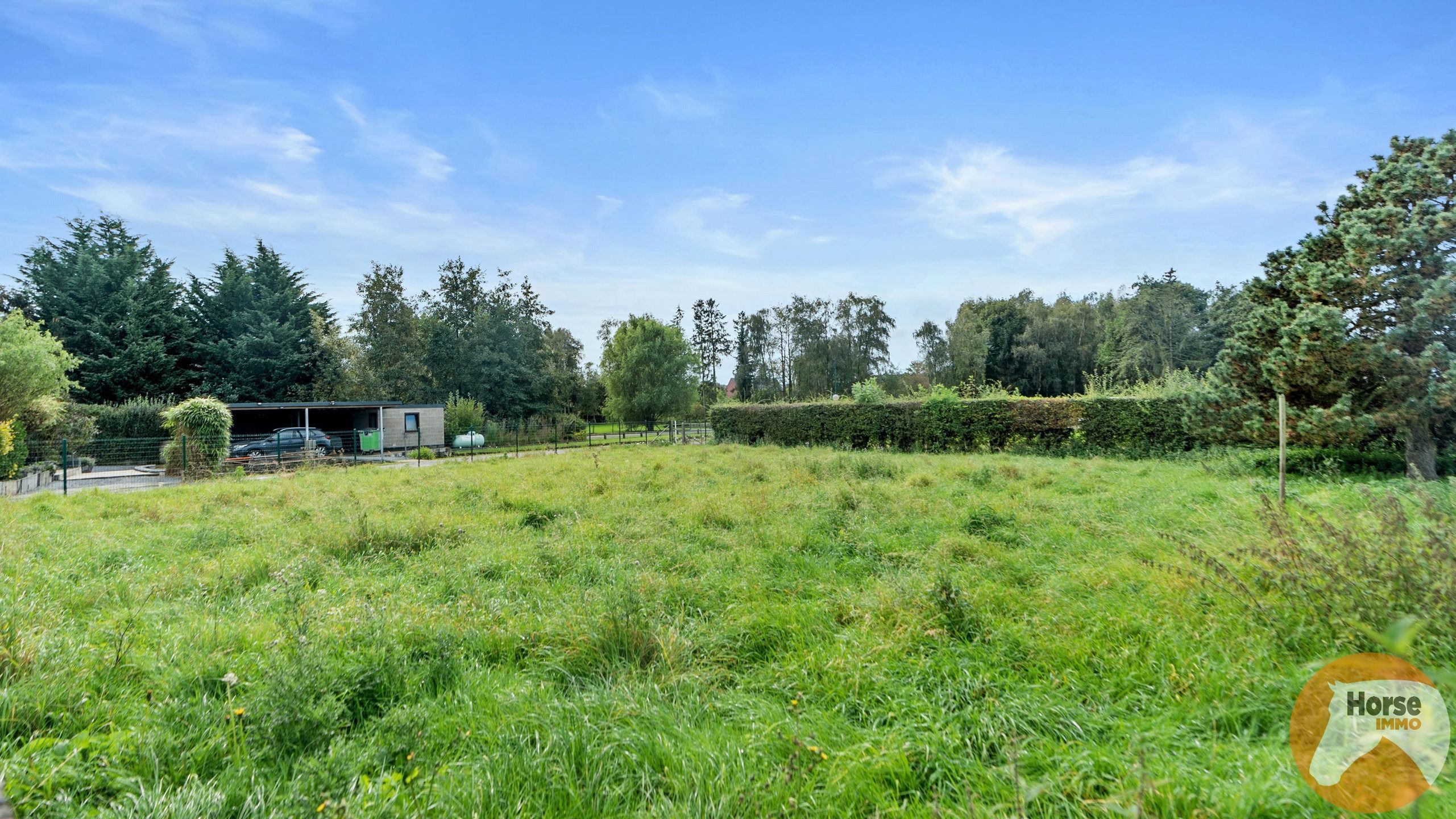 GLABBEEK - Hoeve met weiland op 72a foto 24