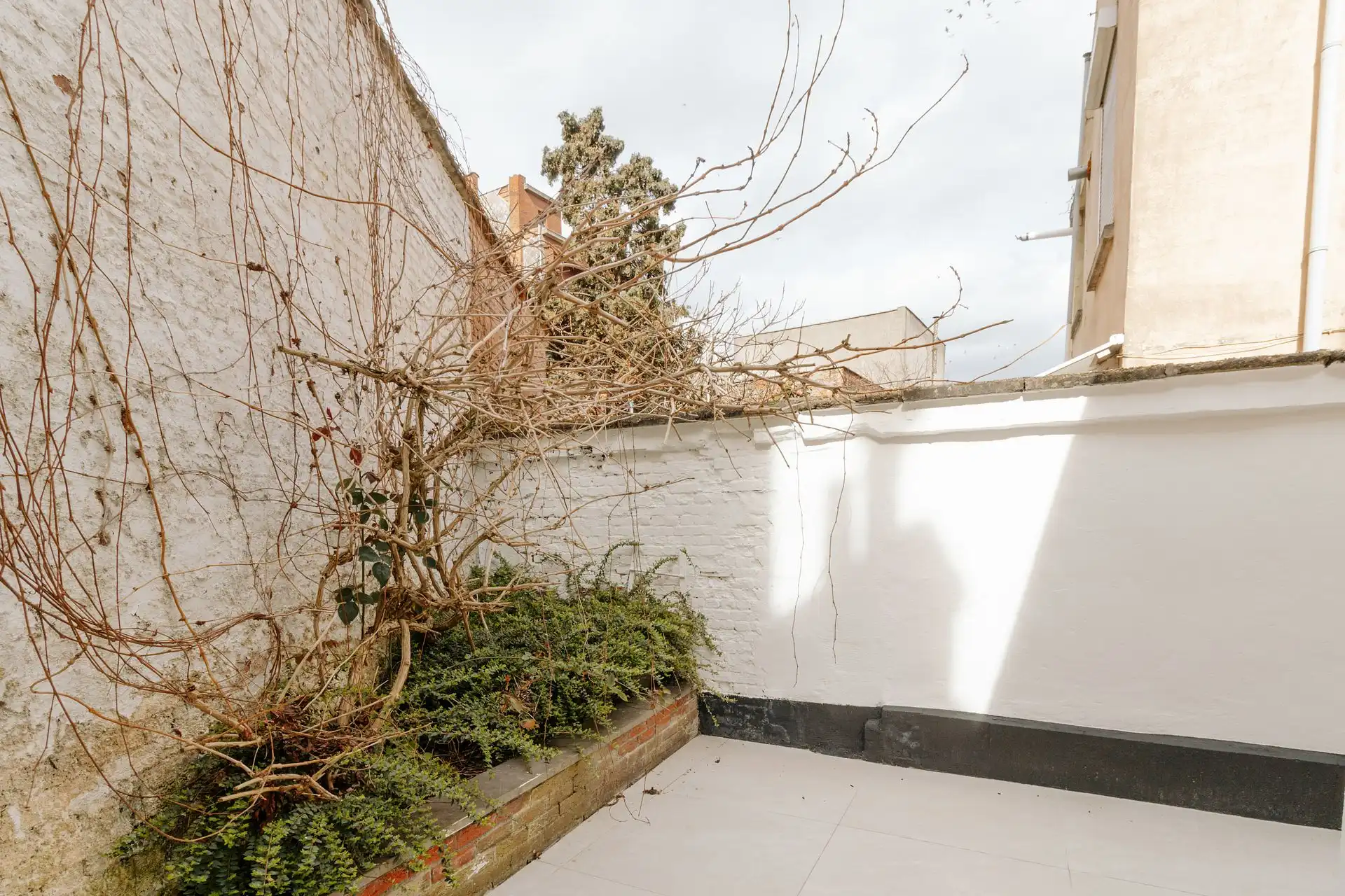 Volledig gerenoveerde woning op het Antwerpse Zuid. foto 26