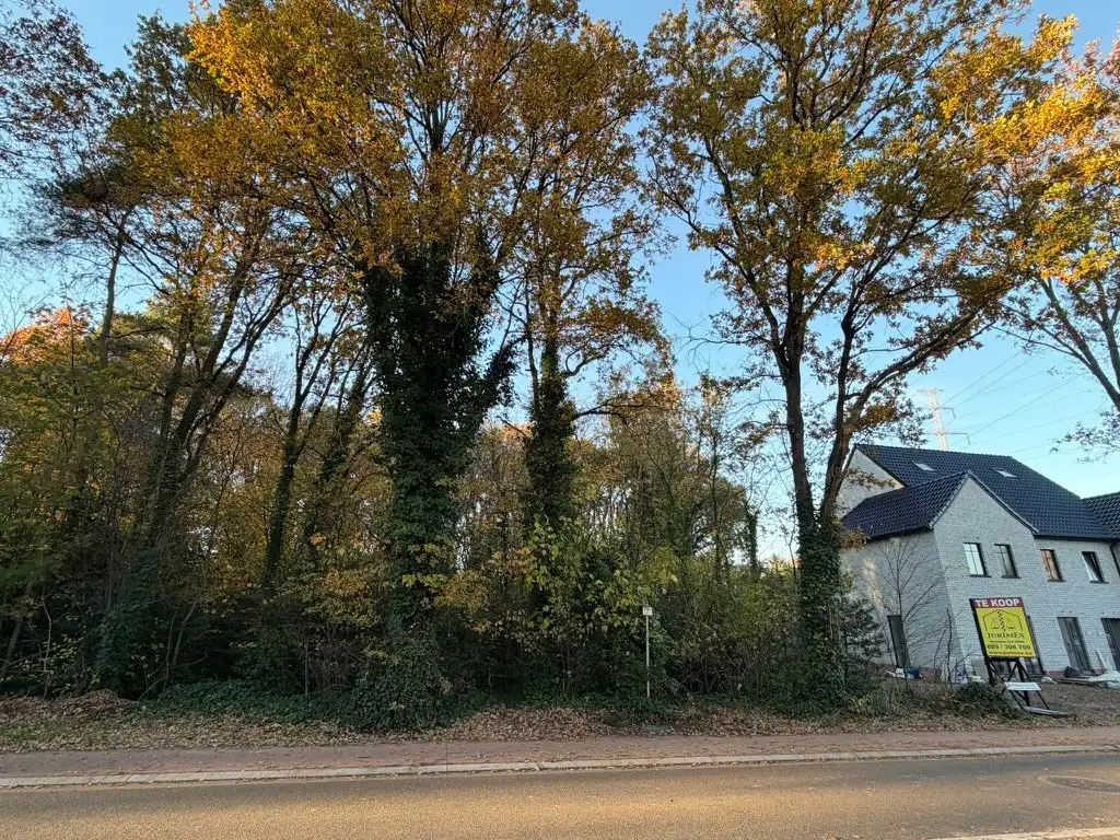 Genk, Reinpadstraat 185 (Lot 3A en 3B): uitstekend gelegen bouwgrond van 7a 23ca voor halfopen bebouwing. foto 5