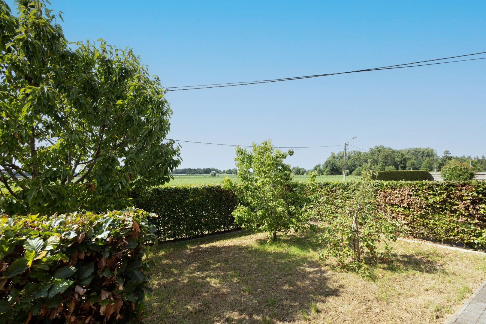 Bungalow met 2 slpks en bijgebouwen landelijk gelegen te Adegem foto 2