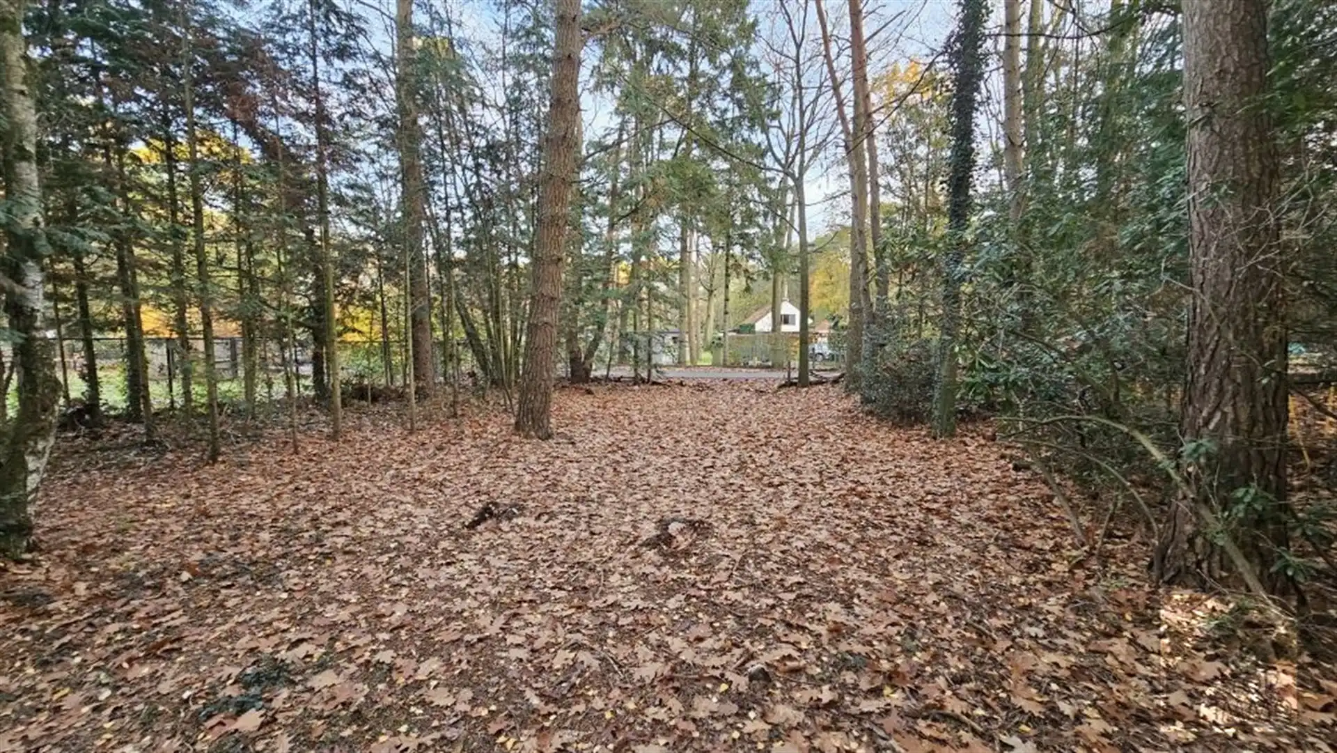 Bouwgrond van 1400 m² - Schilde foto 9