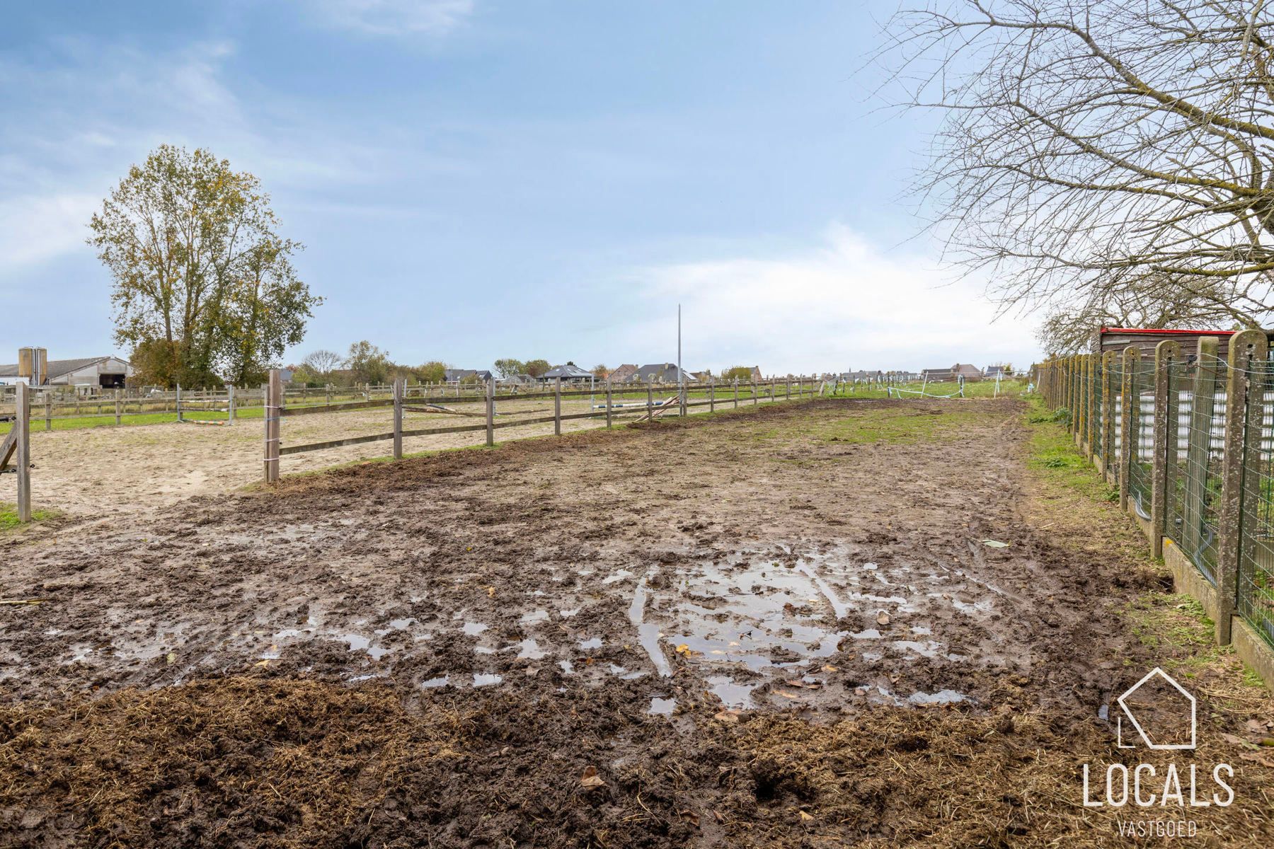 Prachtige eigendom met paardenstallen, zwembad en wellness  foto 22