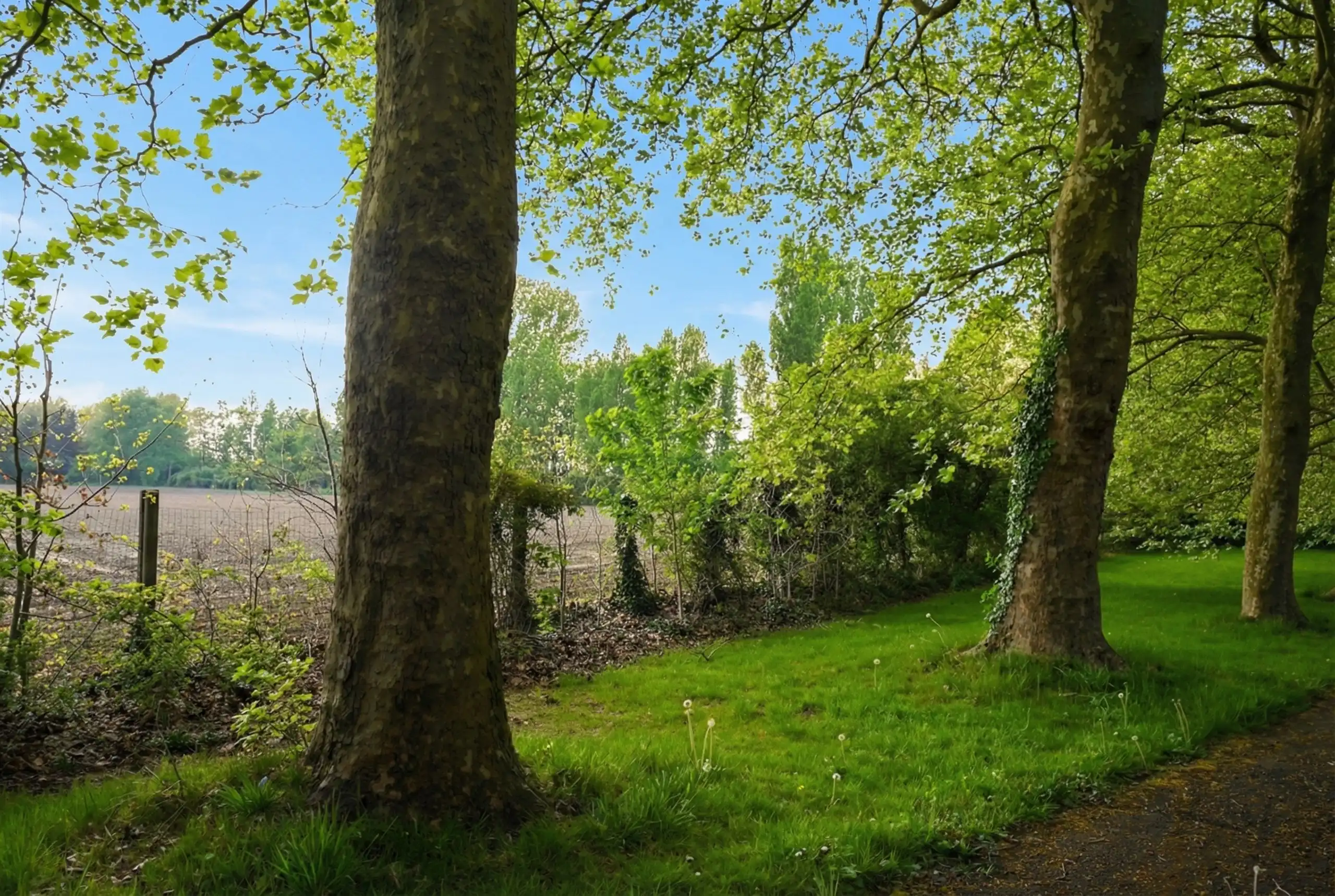 Majestueuze eigendom gelegen op een weelderig landgoed van ca. 1 ha! foto 7