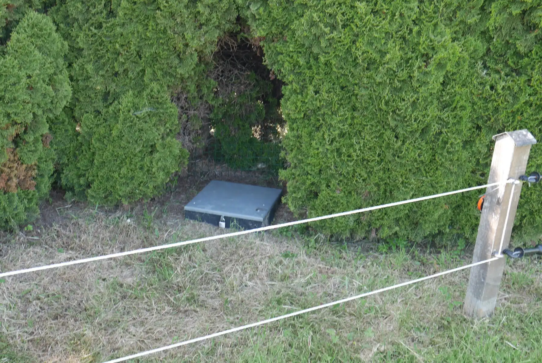 Zeer vlot bereikbare weide foto 7