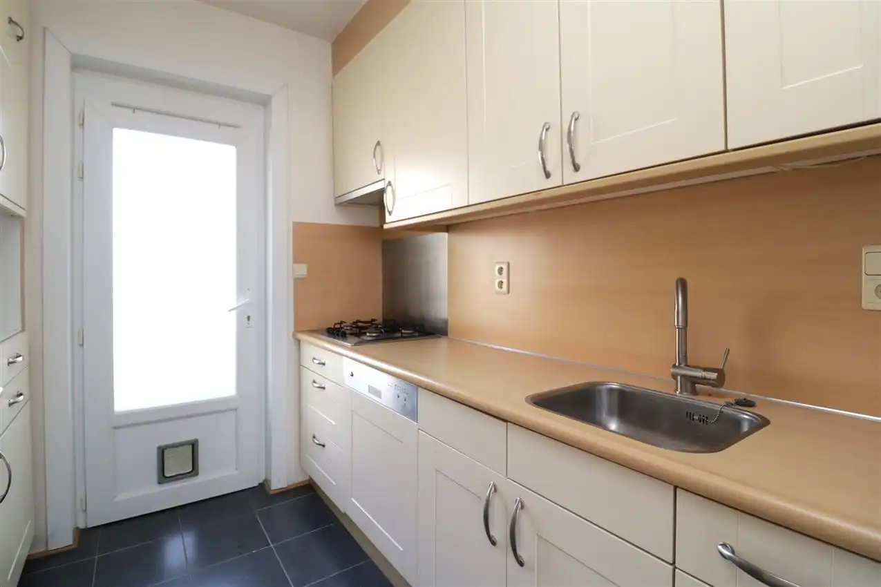 charmant, ruim, mogelijkheid beroep of kangoeroe foto 43