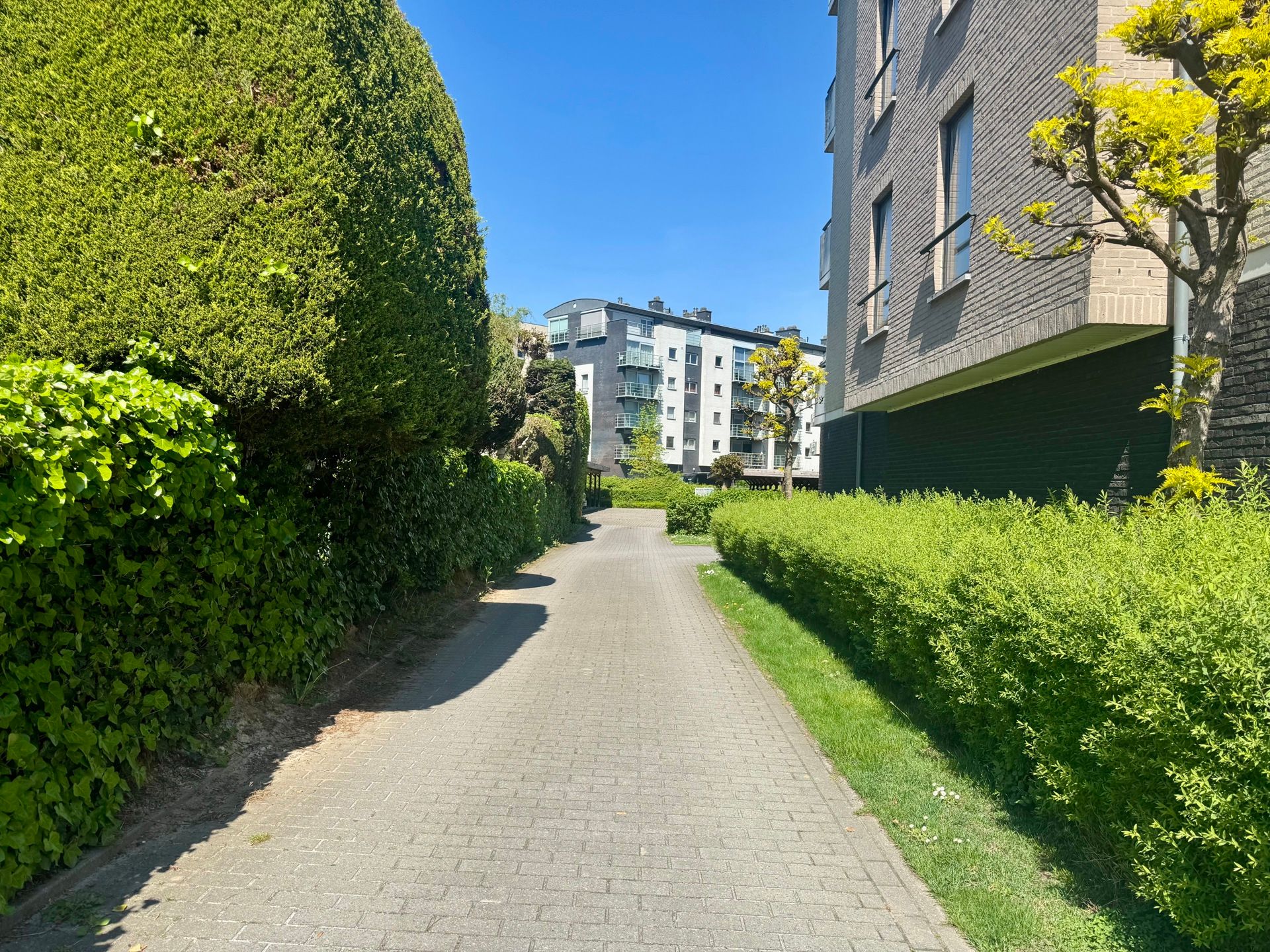 Carport op uitstekende locatie te Kessel-Lo foto 6