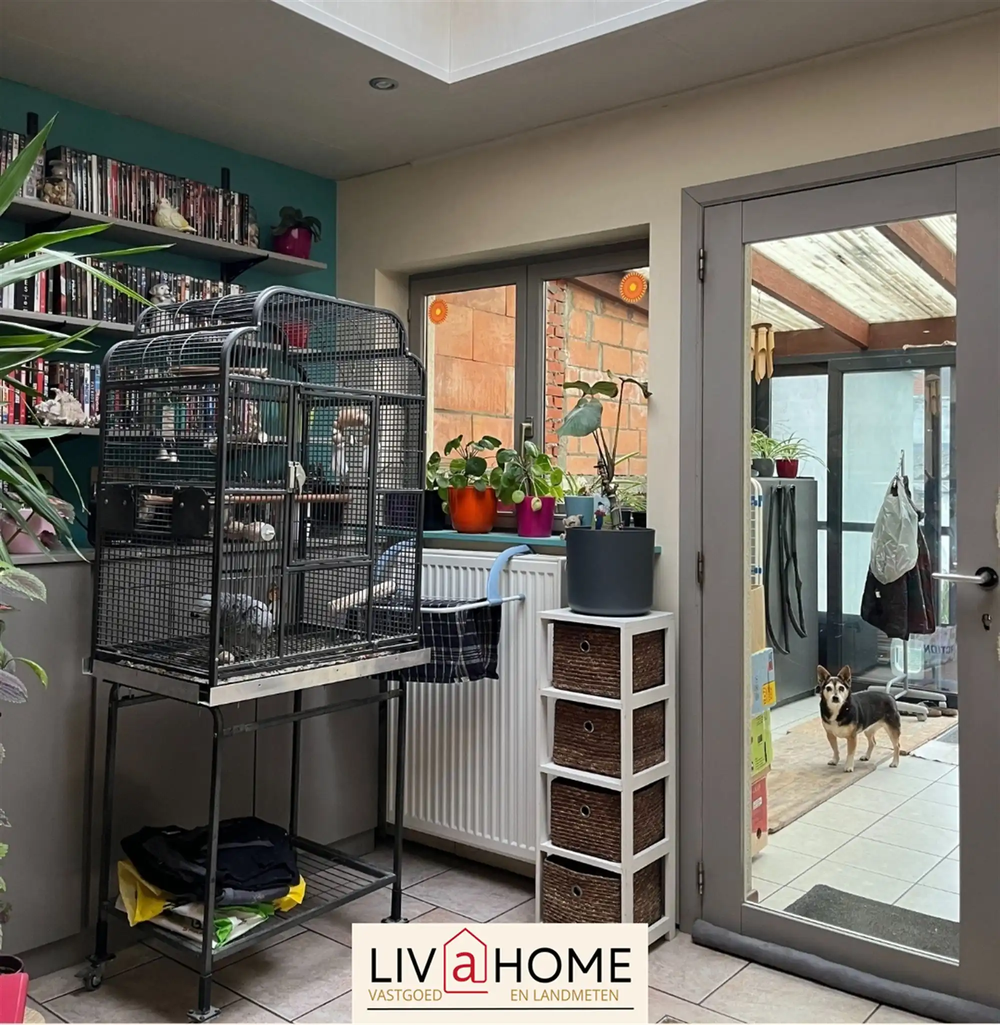 Rijwoning foto 10