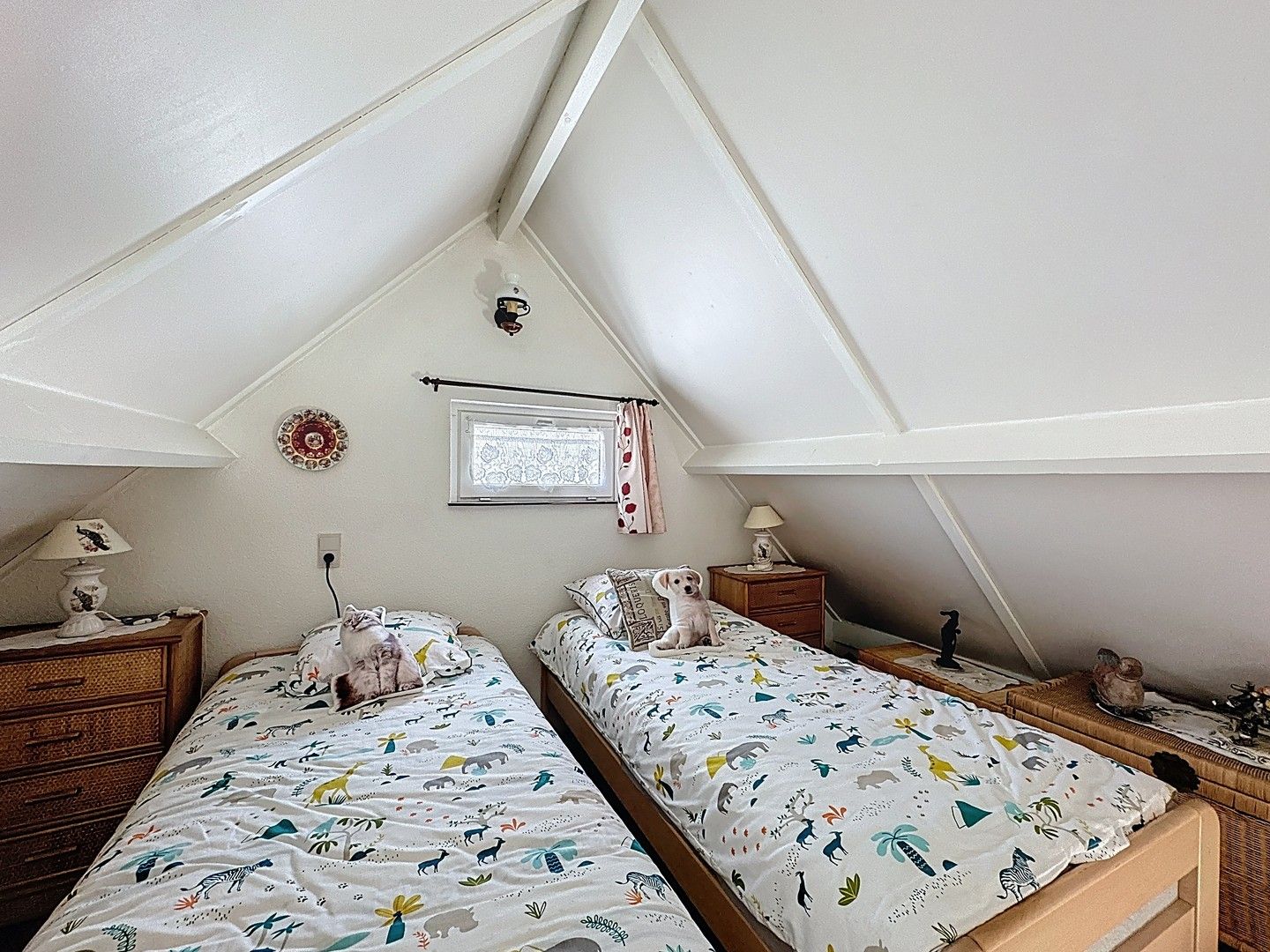 Verzorgde vakantiewoning met zonnige tuin in domein Sunparks. foto 8