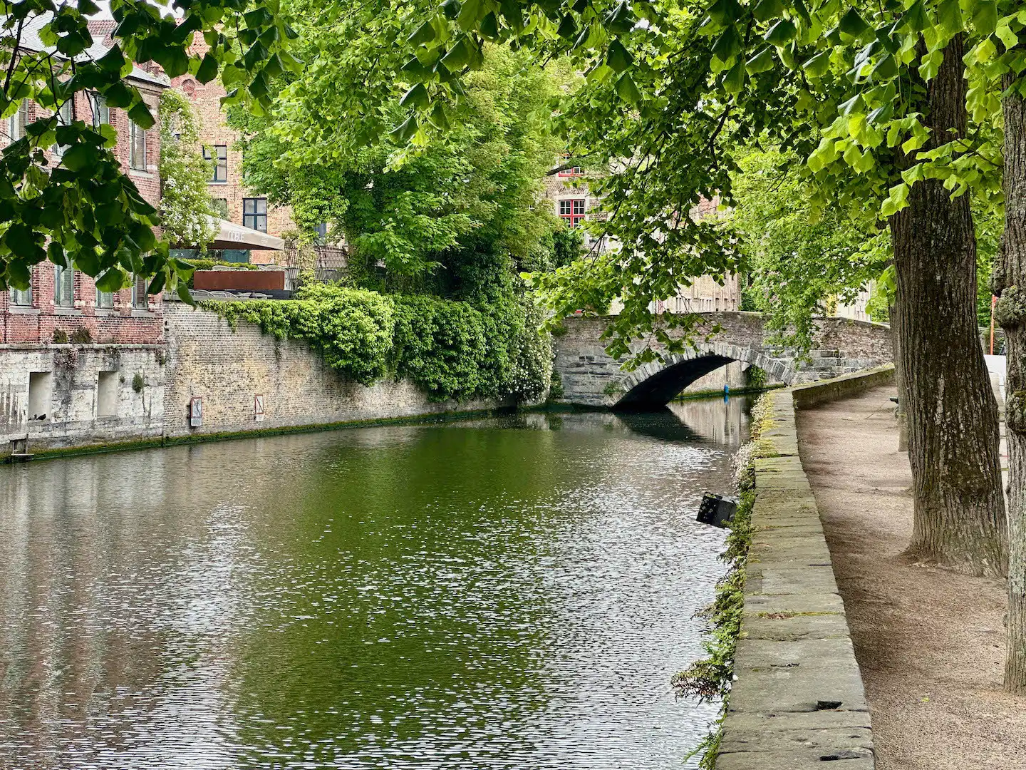 Exclusief wonen met zicht over de Vismarkt in hartje Brugge foto 4