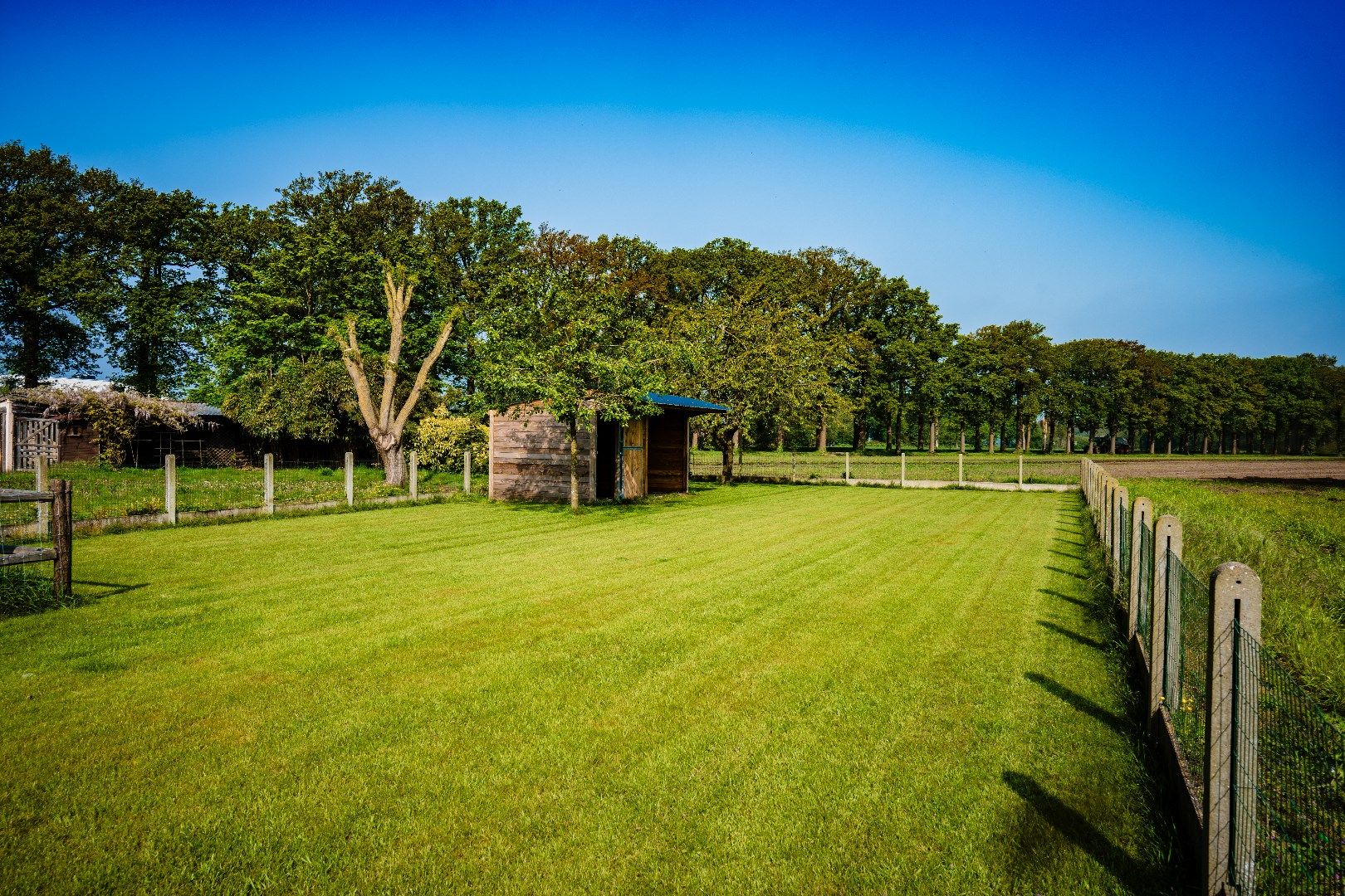 Woning met 3 slpks, tuin én stal  op 1.105 m² te lembeke foto 10