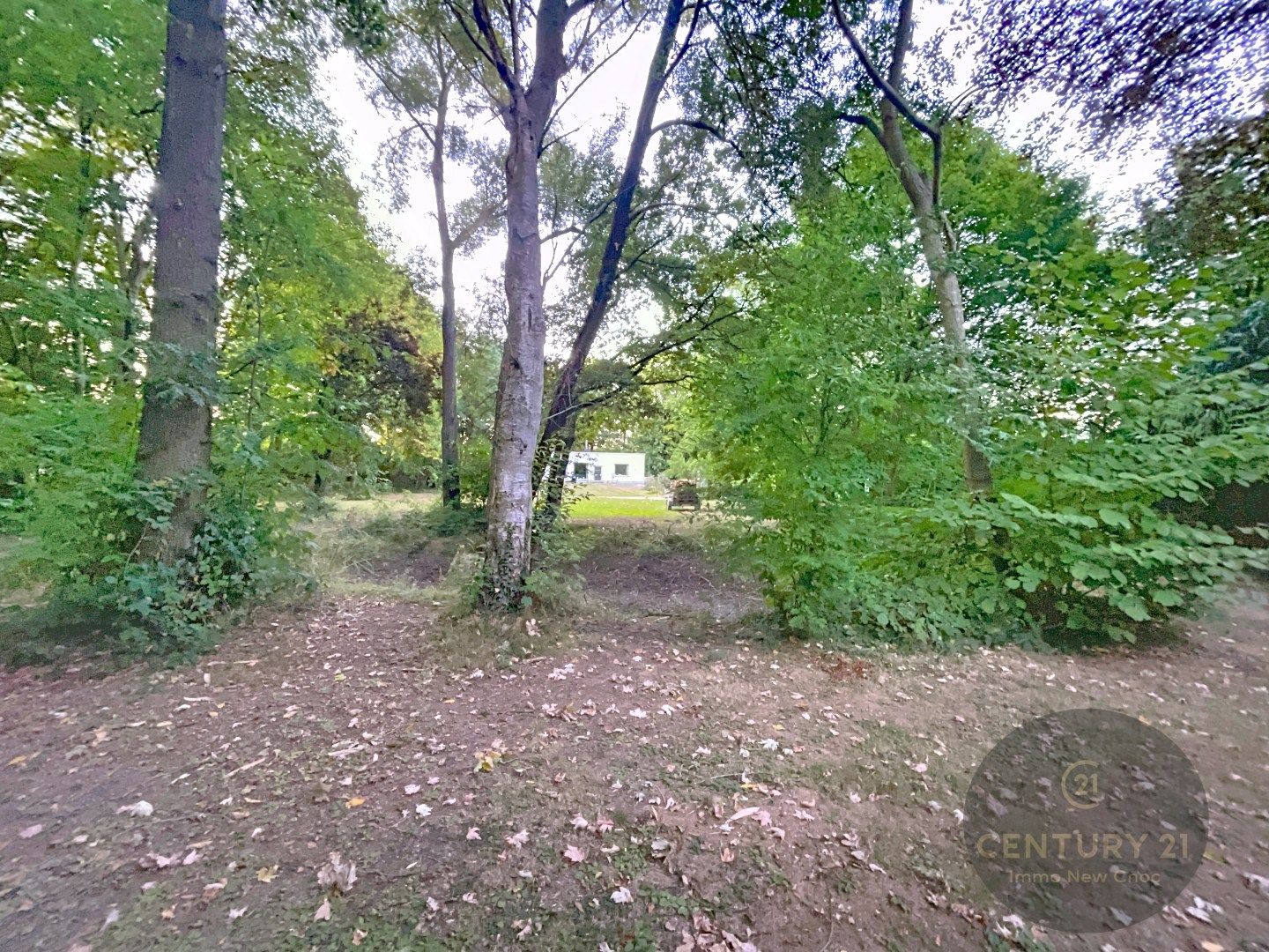 Te renoveren woning met zeer veel mogelijkheden. foto 4