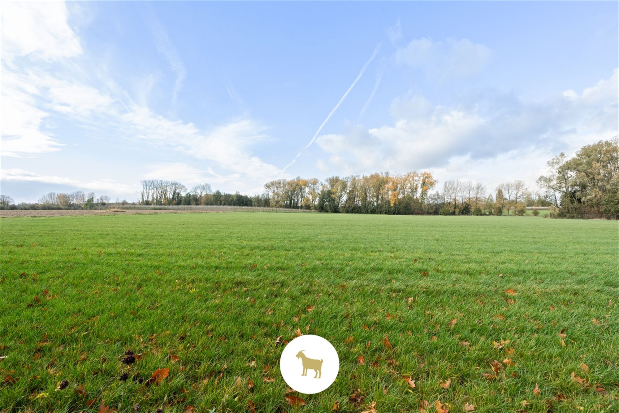 Perceel BOUWGROND (na afbraak bestaande bebouwing) voor OPEN BEBOUWING van ca. 954m² groot foto 2