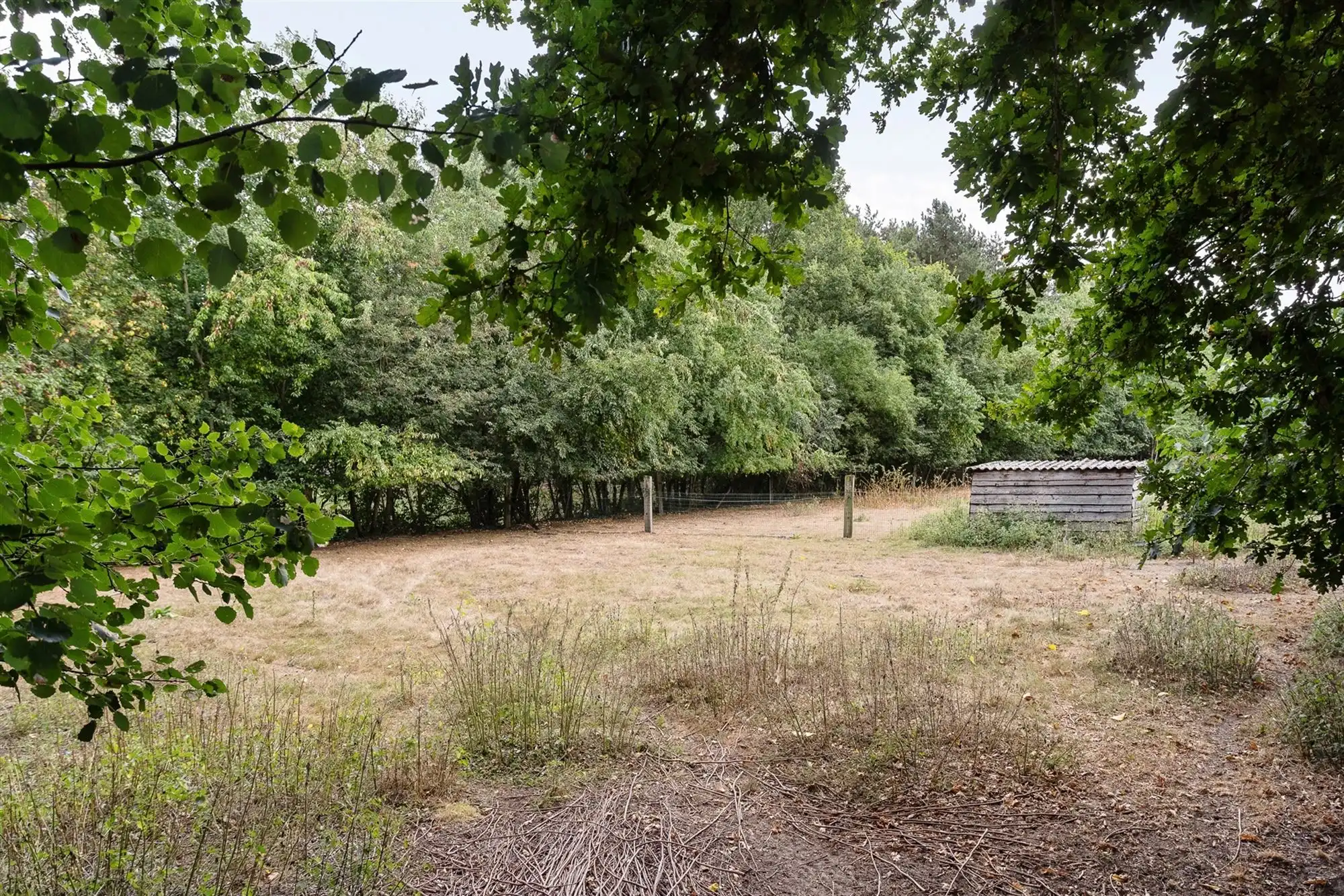 TE RENOVEREN OF TE SLOPEN WONING OP EEN PRACHTIG PERCEEL VAN 7841M² TE MEERHOUT foto 23