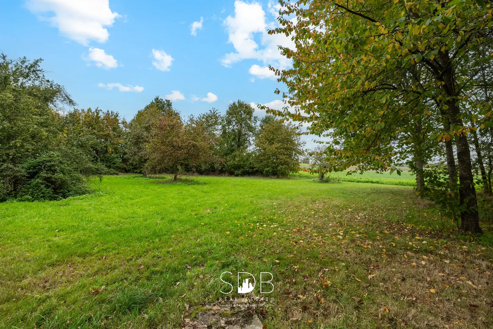 Authentieke hoeve met achterliggend groen op 5.192m² foto 4