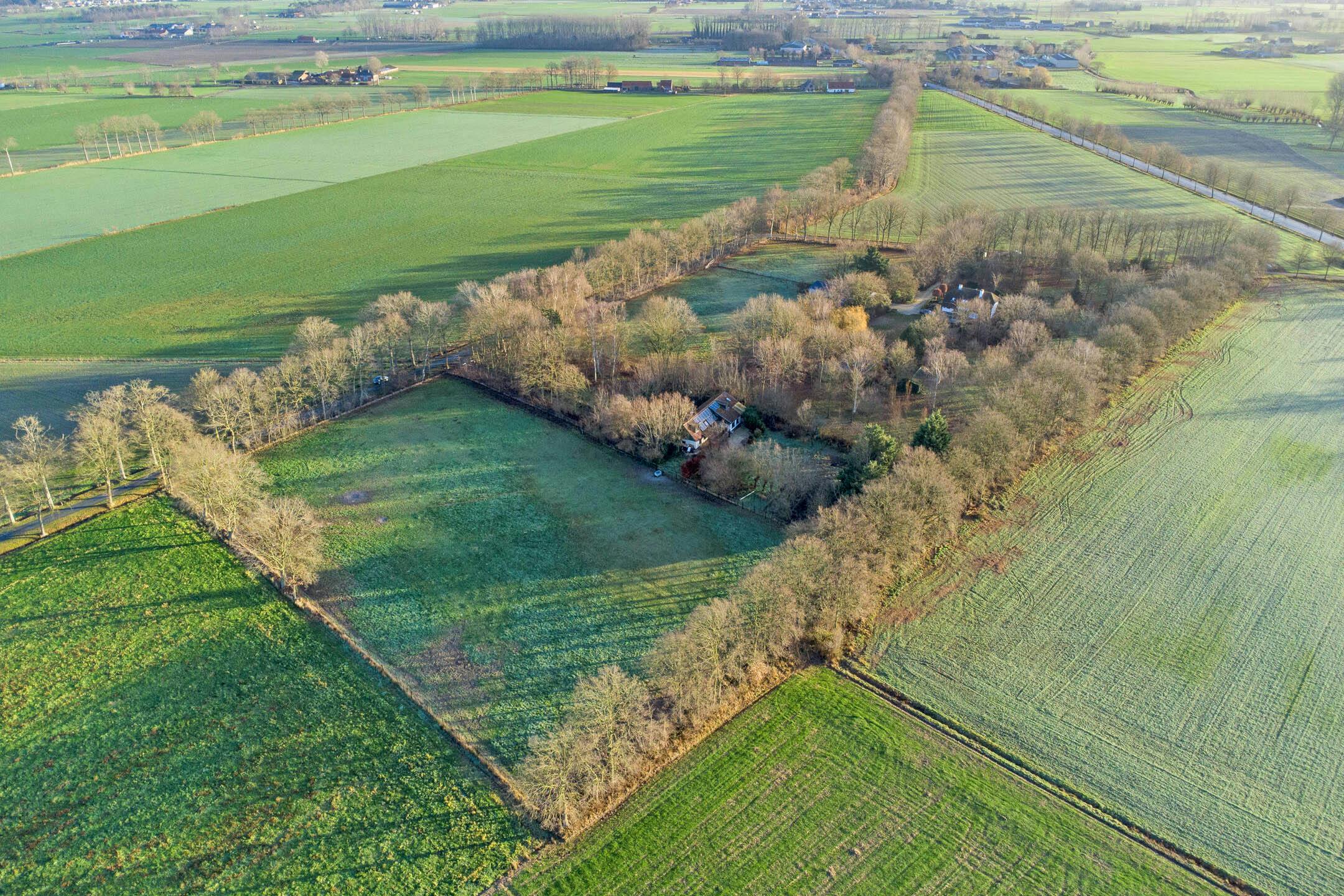 Uitzonderlijk gelegen huis (14.953m²) langs Haantjesveld te Maldegem foto 19