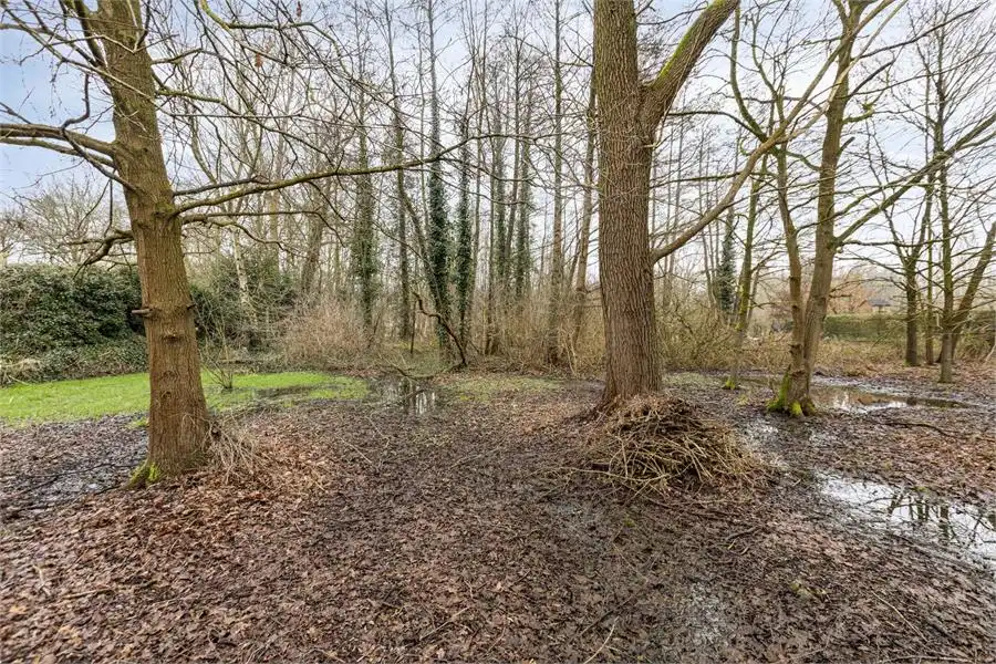 Bouwgrond te koop in Tessenderlo-Ham op perceel van 16a 76ca foto 10