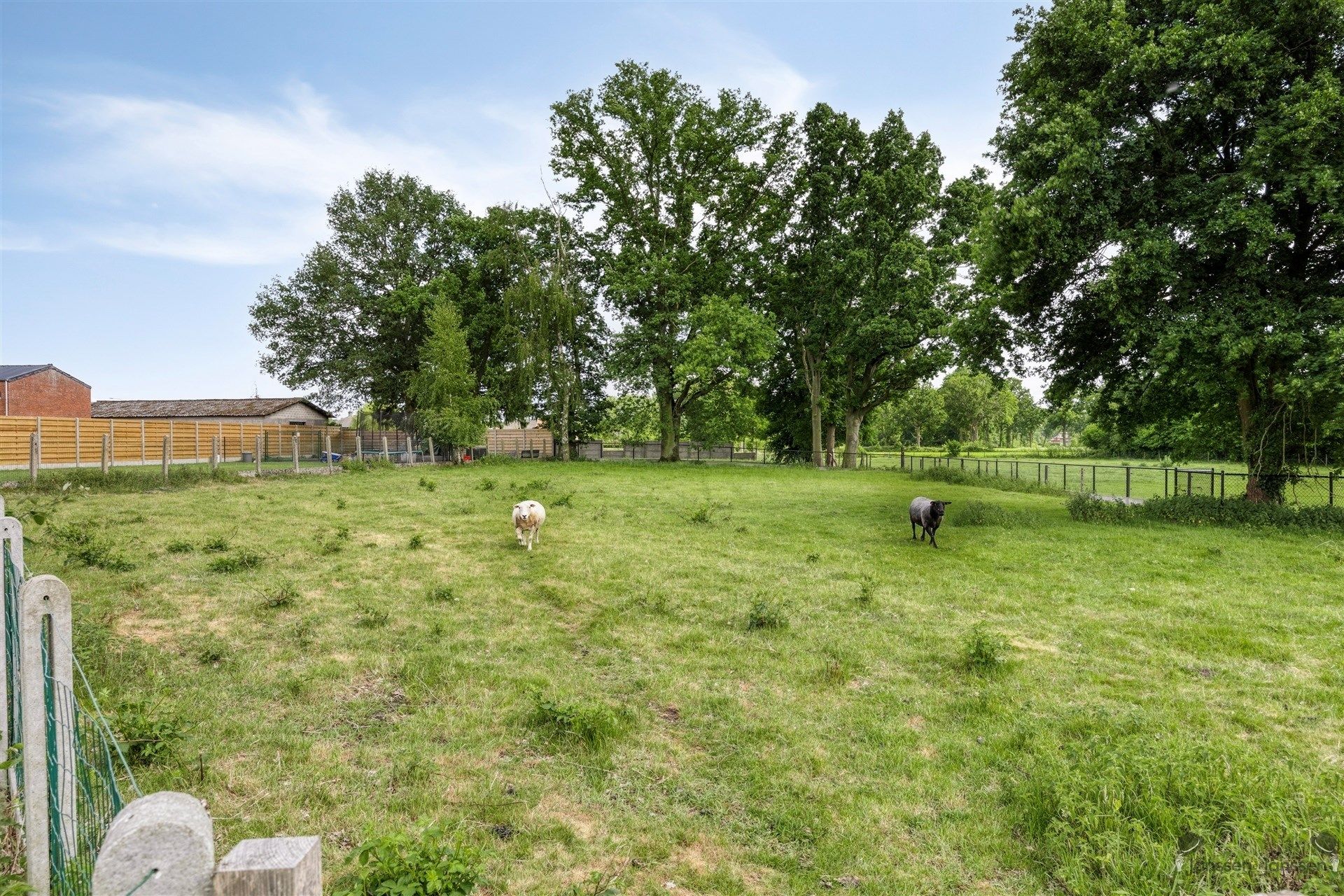 Karaktervolle energiezuinige woning  foto 26