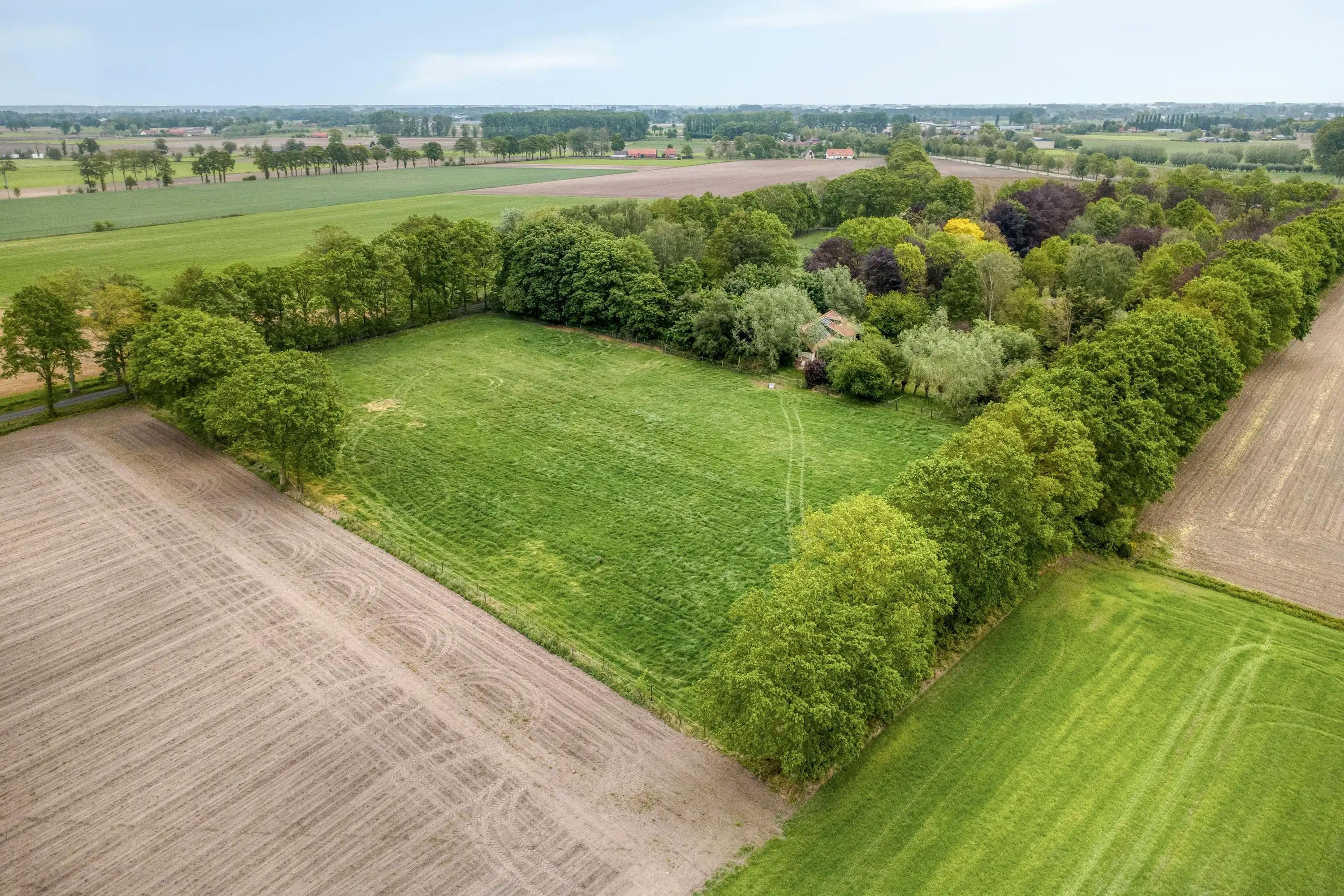Uitzonderlijk gelegen huis (14.953m²) langs Haantjesveld te Maldegem foto 11