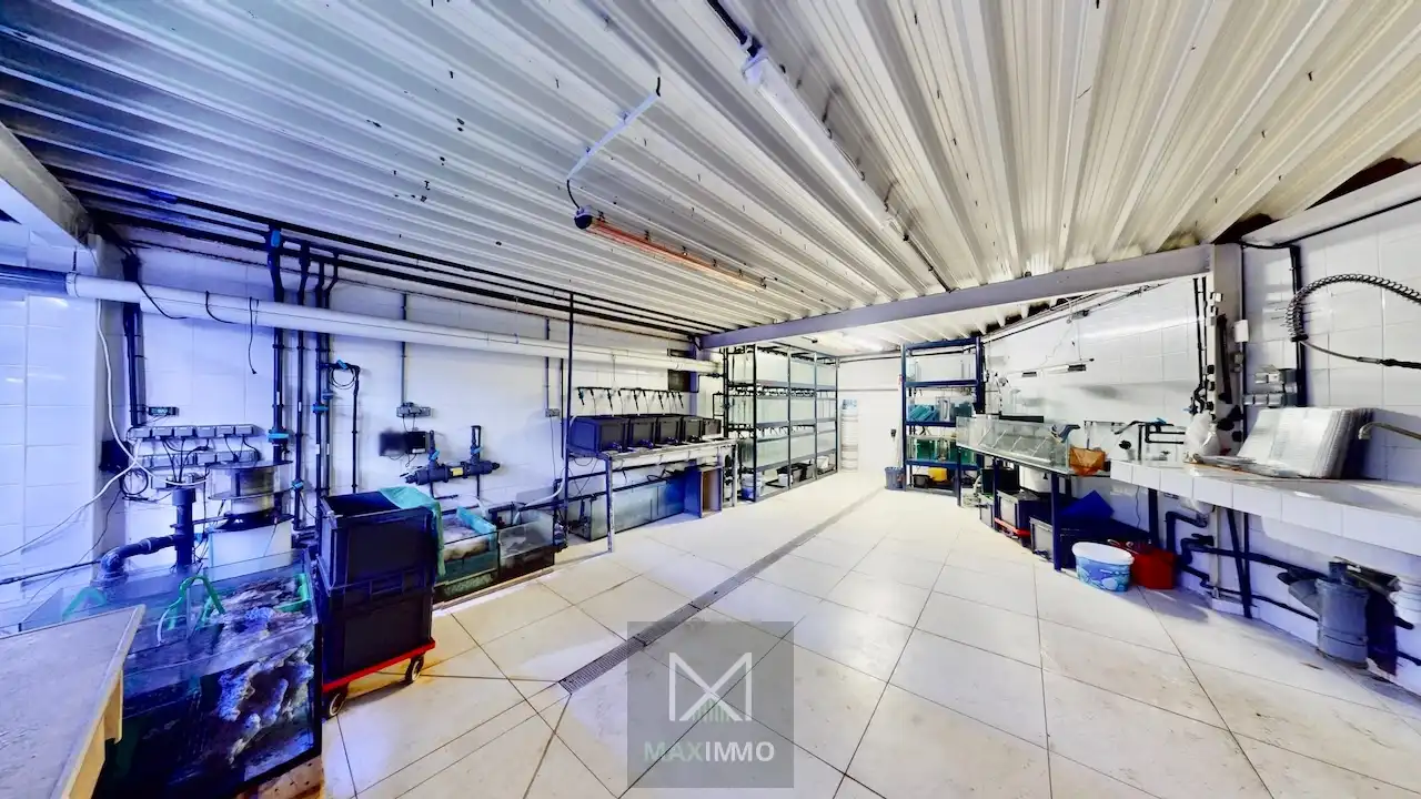 Het grootste handelspand van de Rijselstraat – meer dan 630 m² commerciële mogelijkheden foto 9
