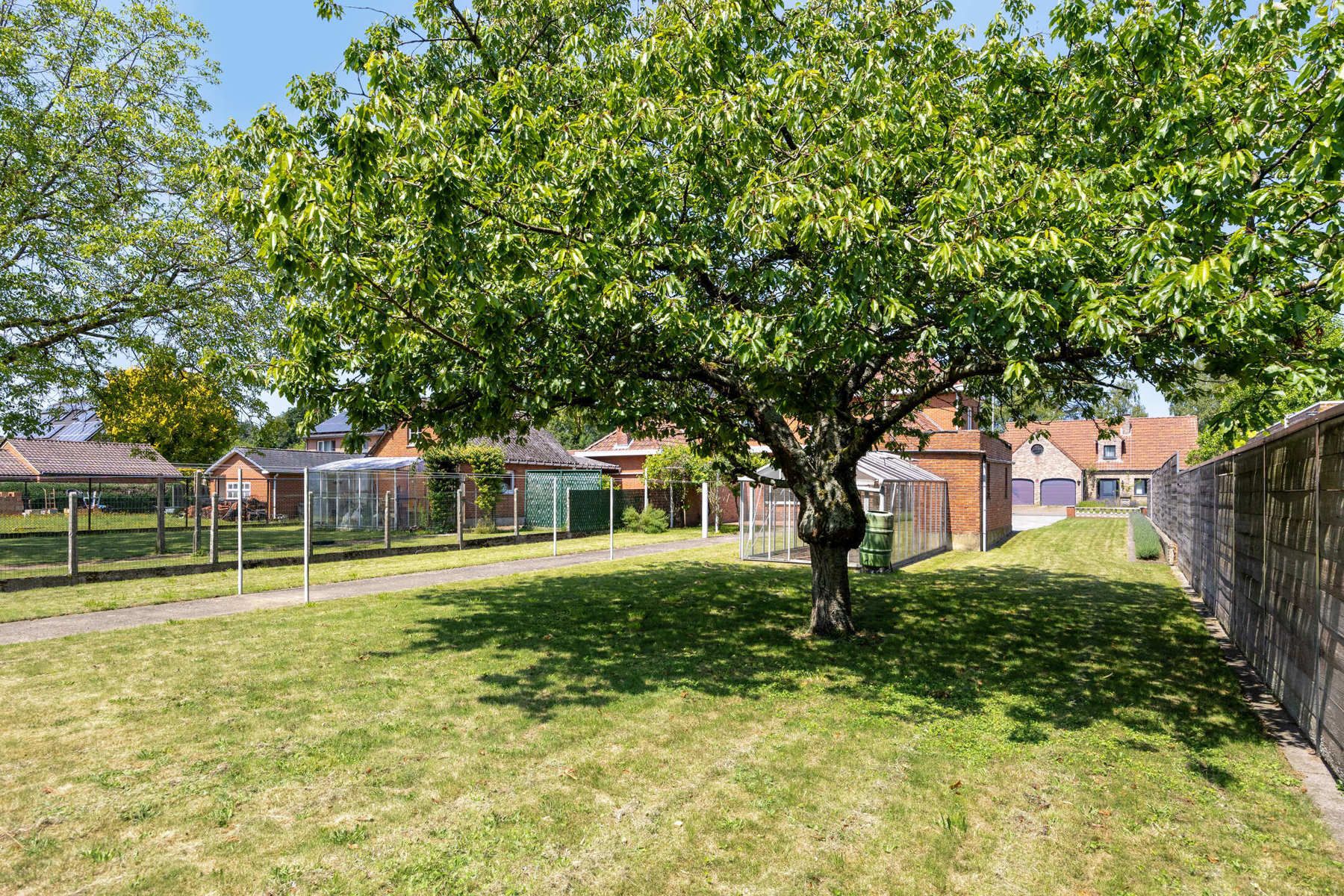 Huis te koop foto 32