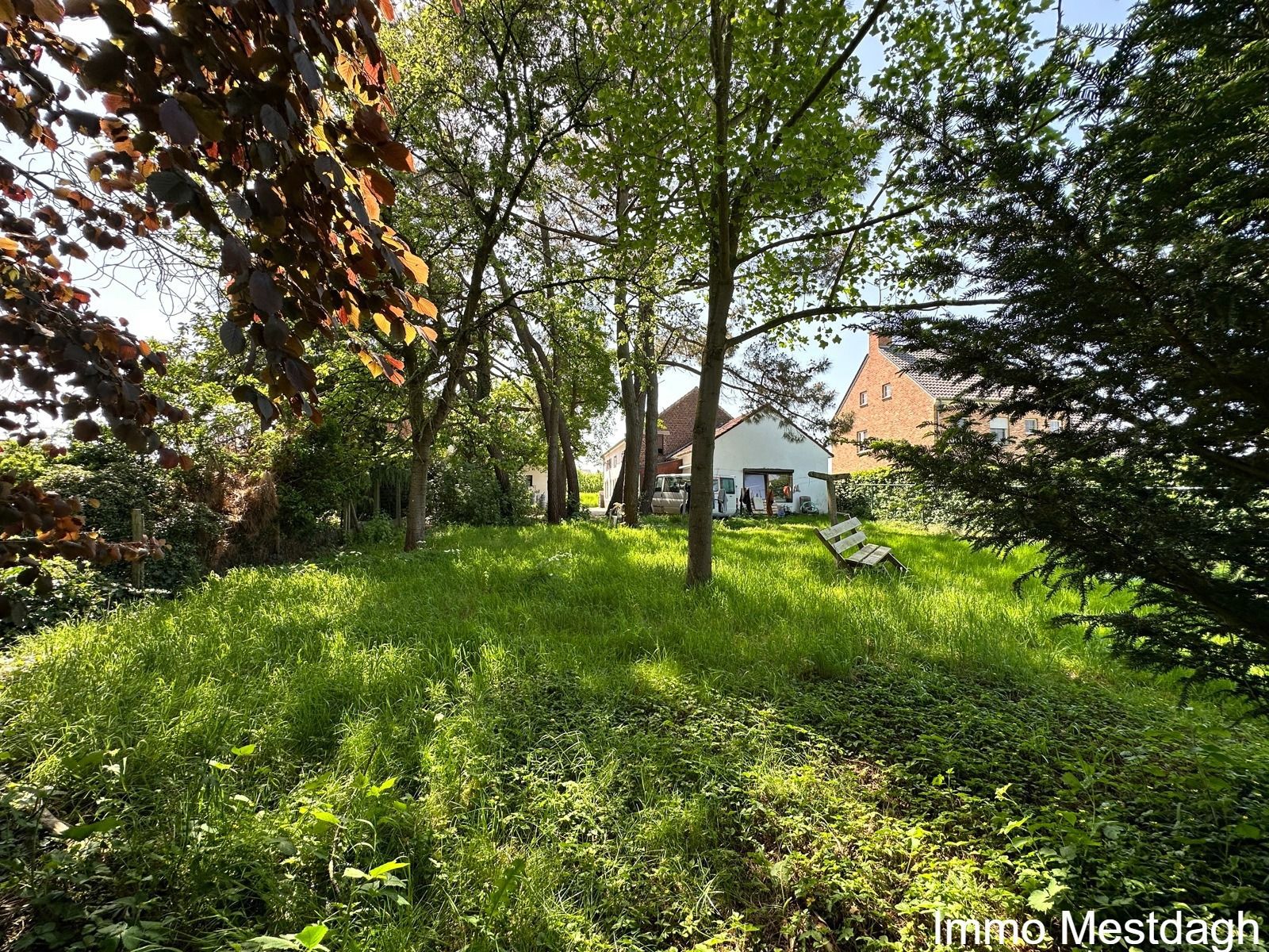 Ruime woning en tuinberging met potentieel in het landelijke Geetbets. foto 10