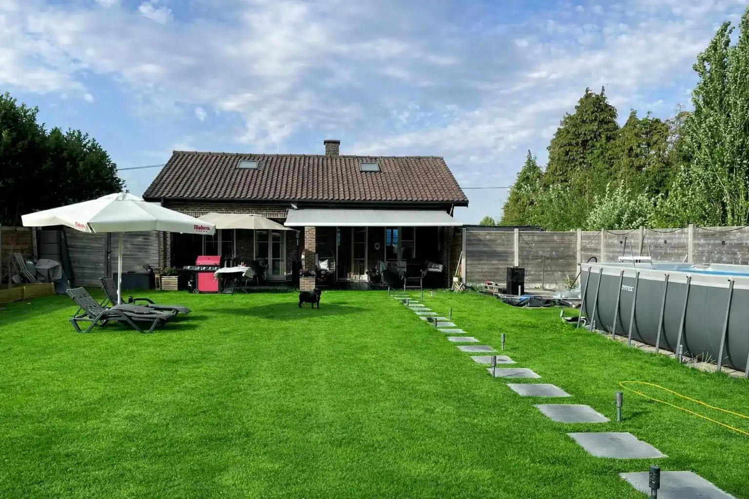 Hoofdfoto van de publicatie: Ruime bungalow met gastenverblijf of ruimte voor bijberoep