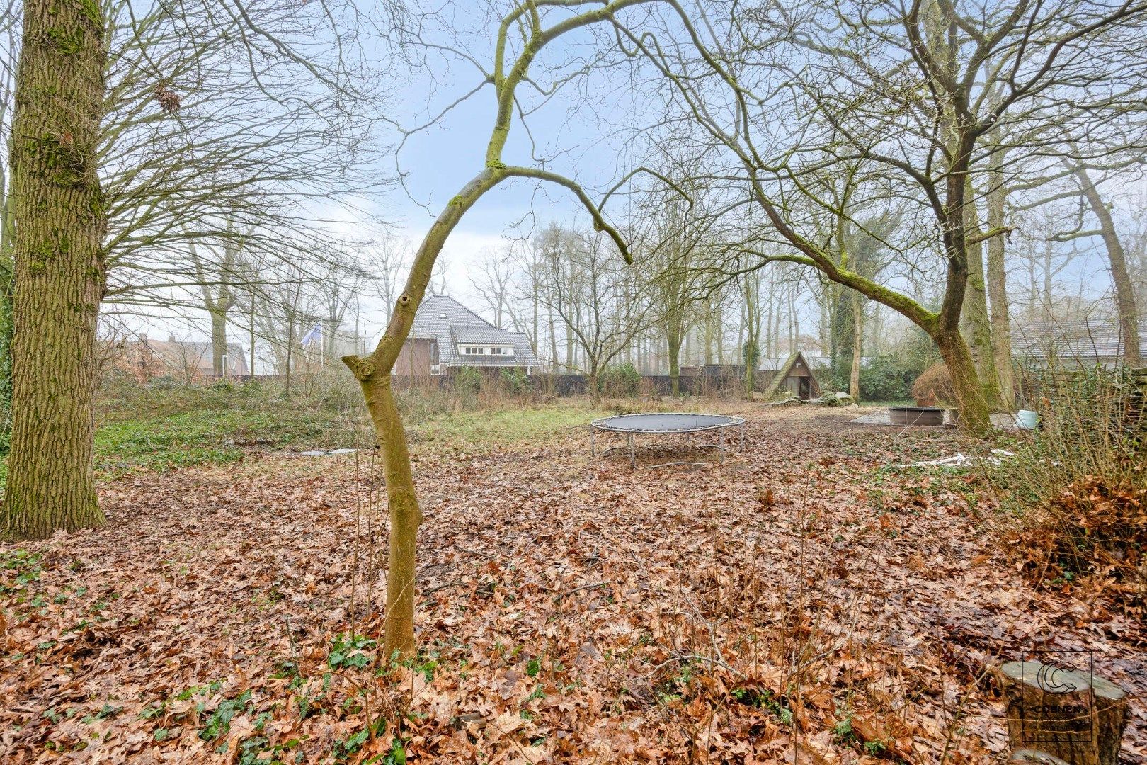 Verder te renoveren villa met een bew opp van 400m² op 5500m² grond op een schitterende ligging te Oud-Turnhout. foto 39