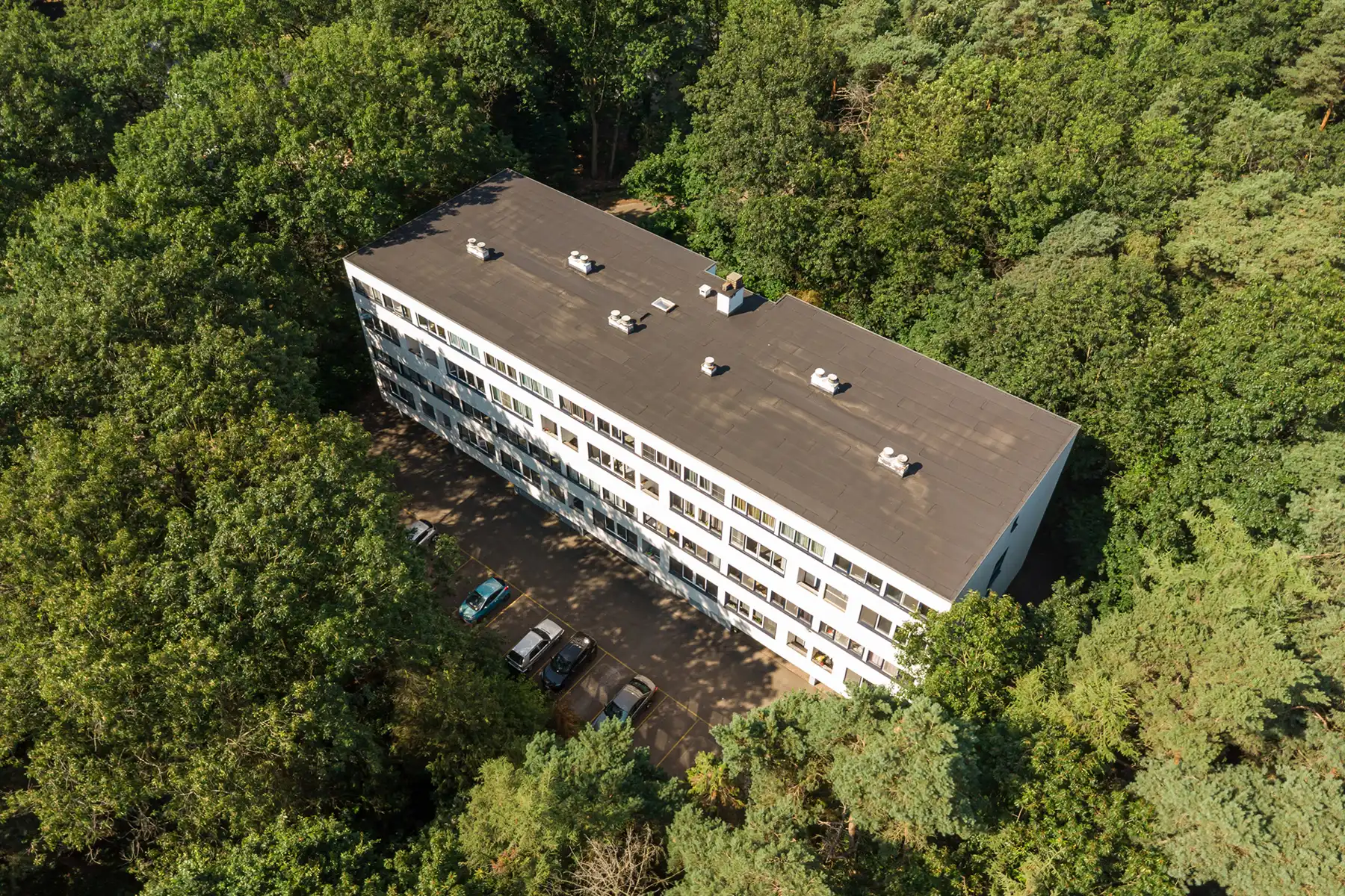 🌿 Kom binnen & ontdek | Zaterdag 25 juli van 10u - 12u foto 16