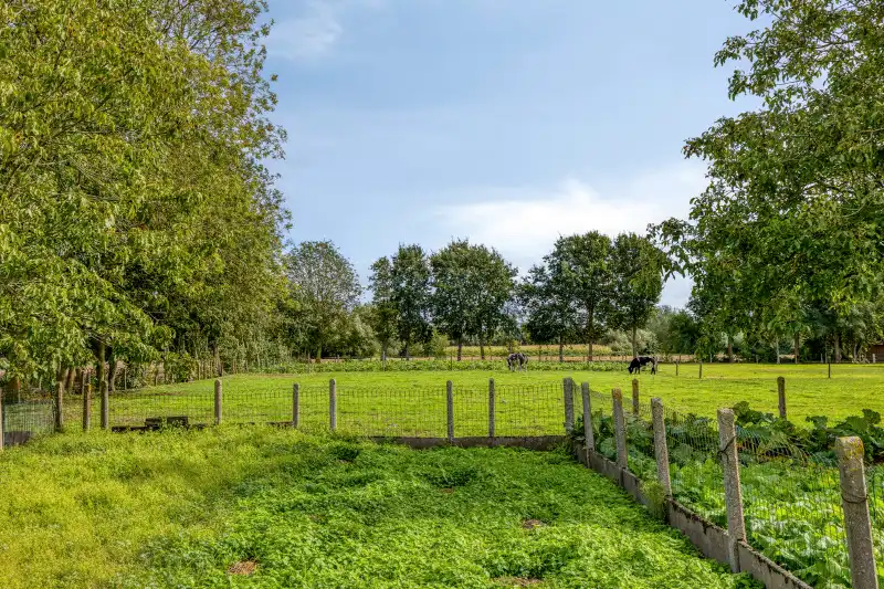 Charmante halfopen woning met authentieke elementen en prachtig zicht op de weilanden foto 13