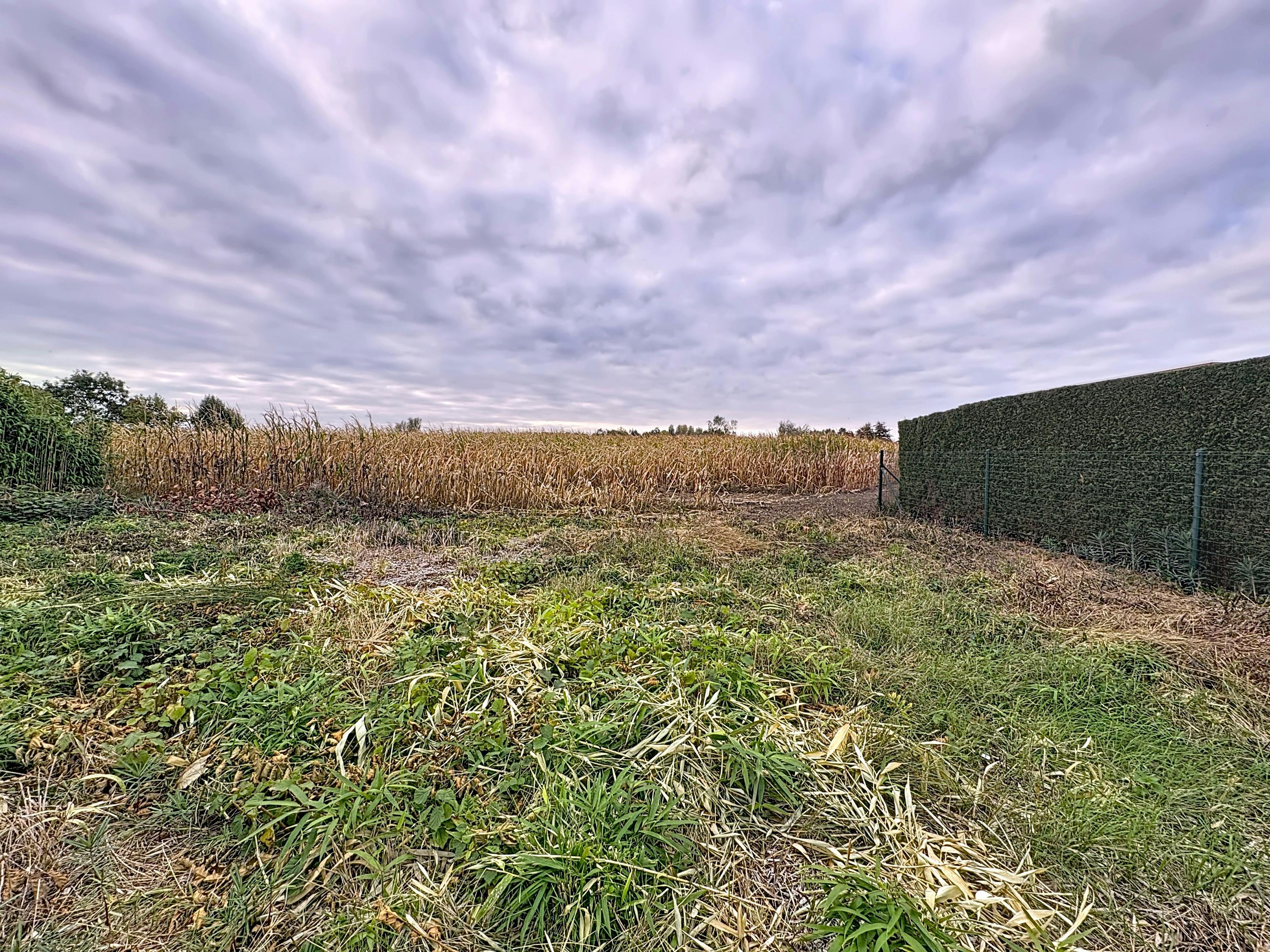 Mooie bouwgrond voor open bebouwing te Blaasveld foto 3