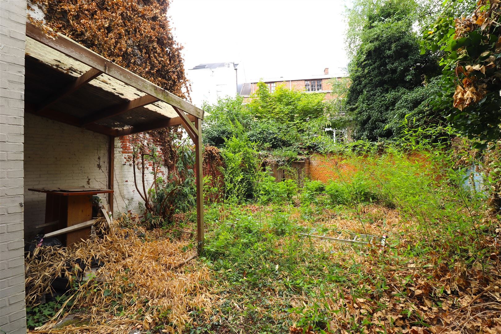 Kantoor met tuin aan KMSKA foto 15