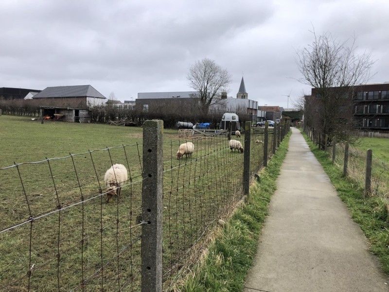 Een perceel grond gelegen in woongebied te Denderhoutem, nabij de Pastorijweg foto 4