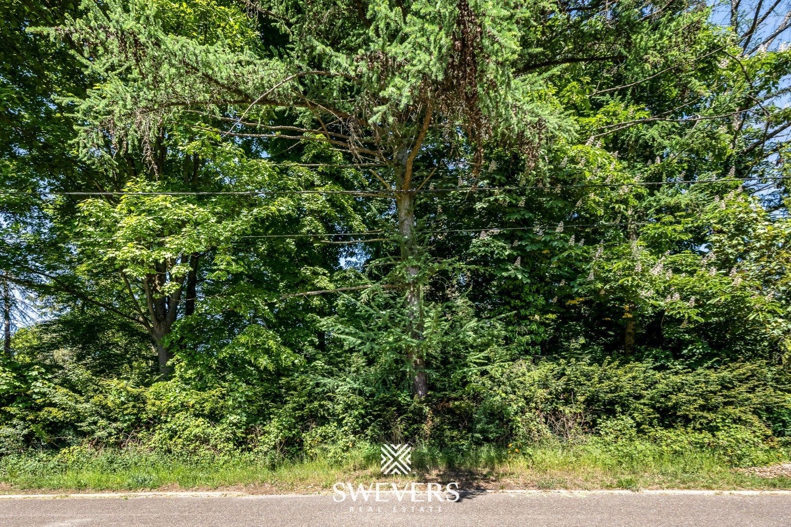 Lot 1 | Exclusieve bouwgrond aan Kasteel Meylandt foto 29